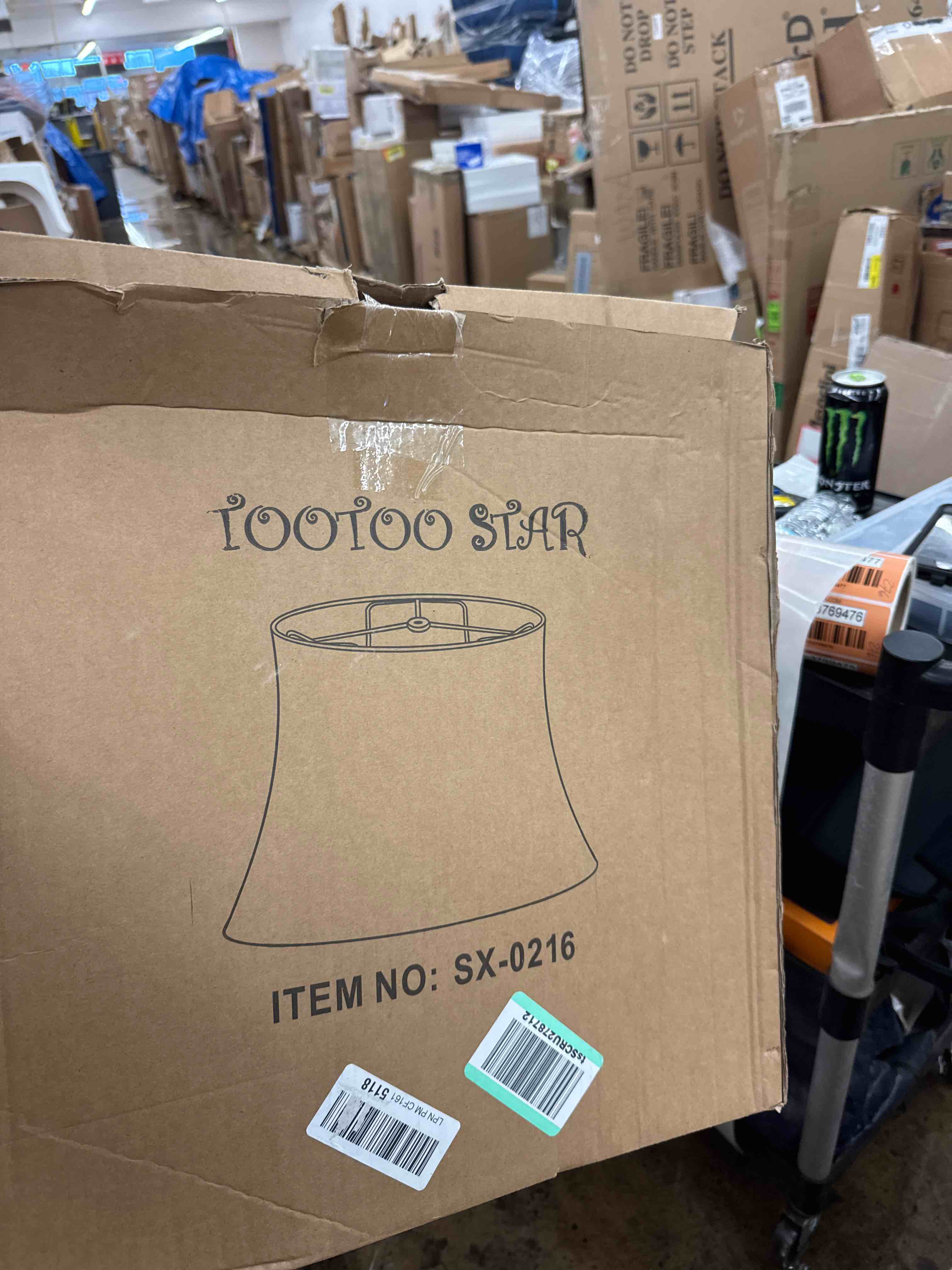https://s3.amazonaws.com/lotting-images-prod/phillipi/ORG3769472_1731603016859.jpeg