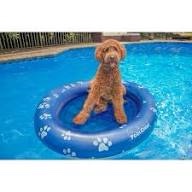 Pool Candy Dog Pool Float and Lounger  Blue  54 x40 x7.5