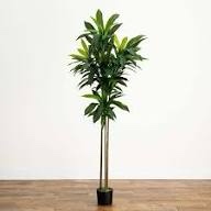 Nearly Natural Real Touch Leaves Artificial Dracaena Plant, 4ft, Green