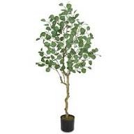 Moss and Bloom 4 Feet Artificial Eucalyptus Tree in Decorative Plastic Planter