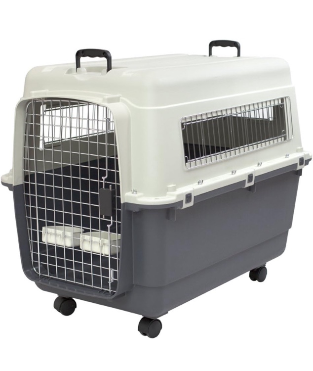 SportPet Designs Plastic Kennels Rolling Plastic Wire Door Travel Dog Crate- XX-Large