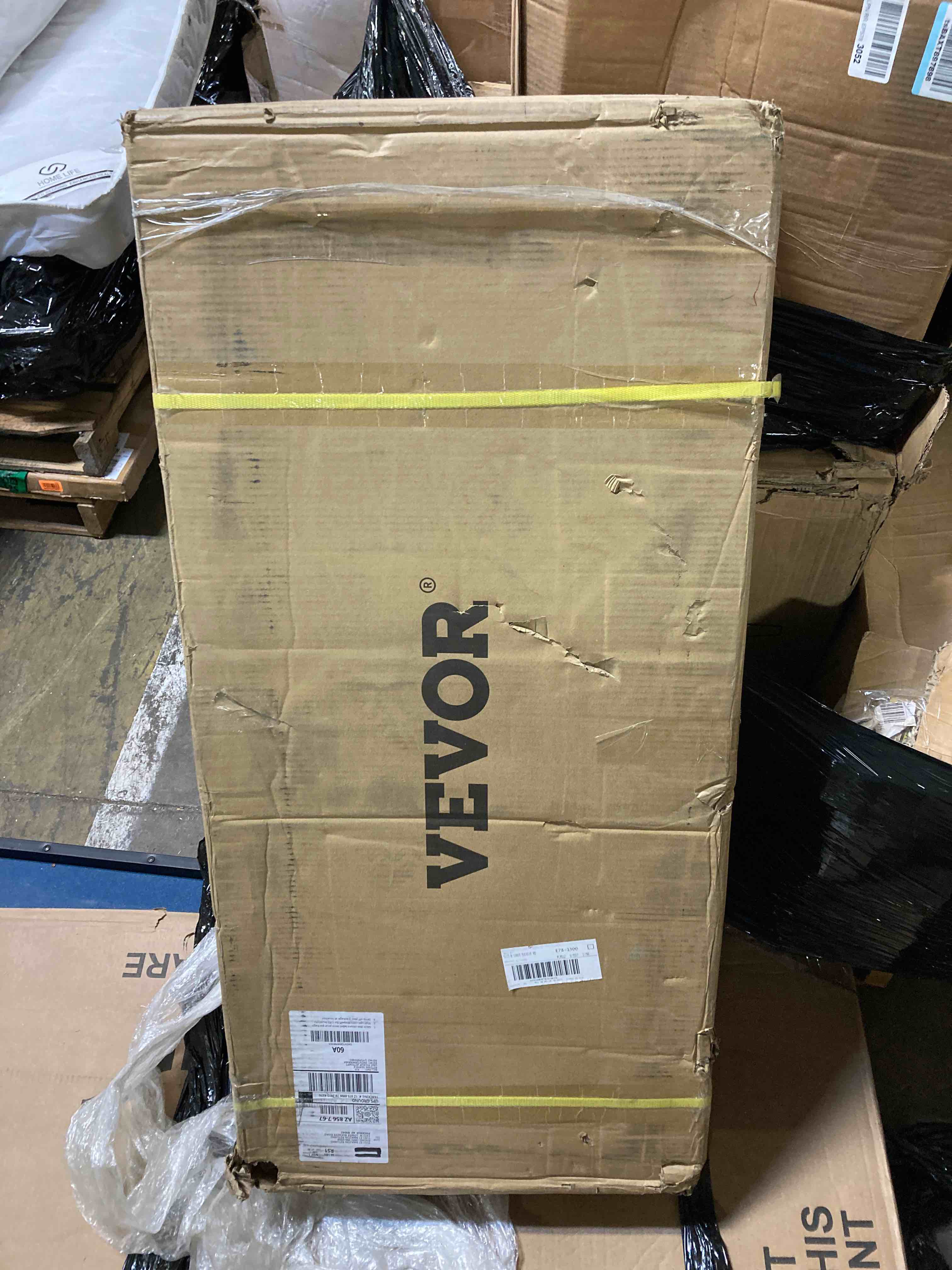 https://s3.amazonaws.com/lotting-images-prod/phillipi/ORG4716857_1686942455729.jpeg
