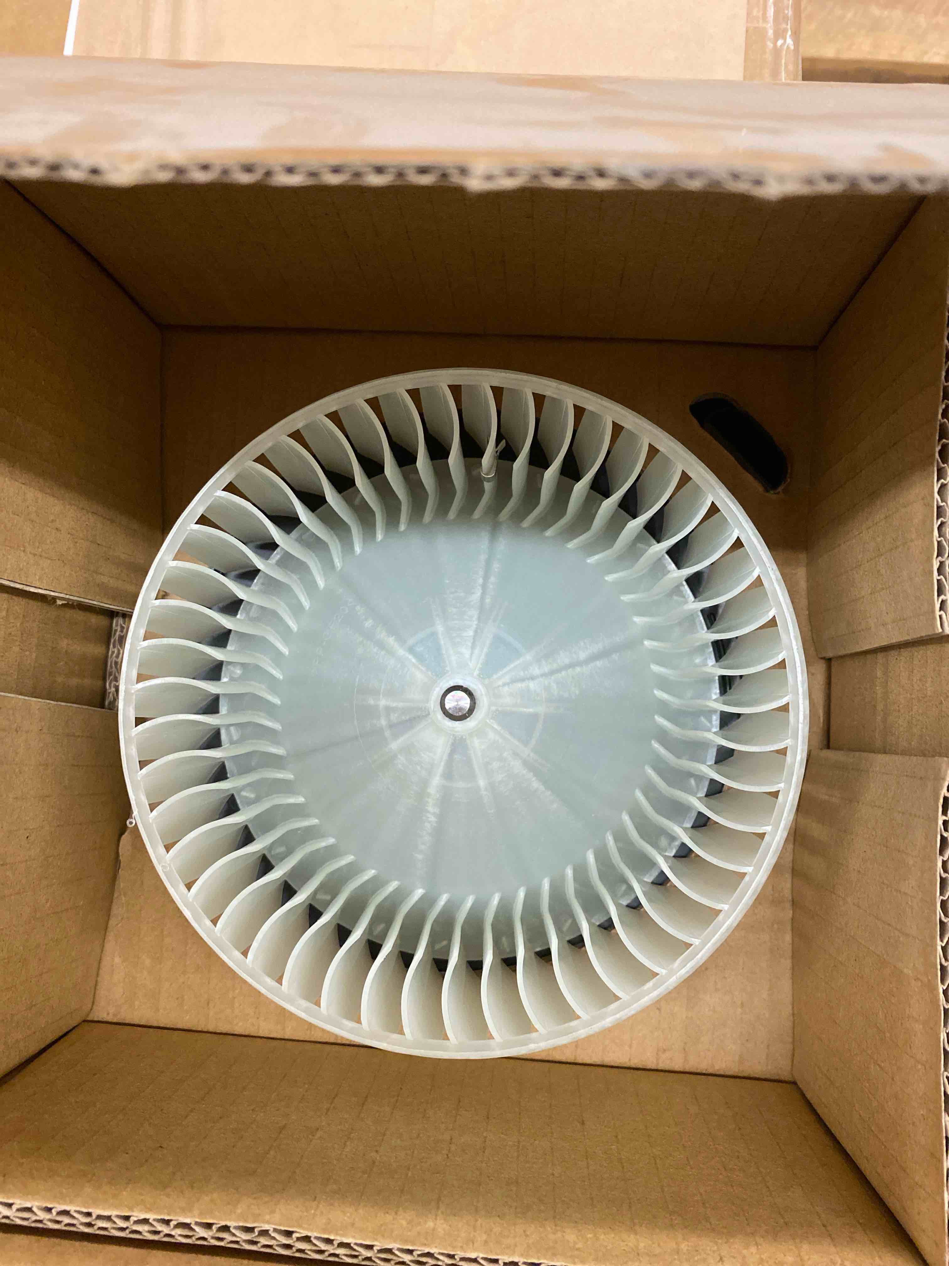 https://s3.amazonaws.com/lotting-images-prod/phillipi/ORG4880211_1708118875175.jpeg