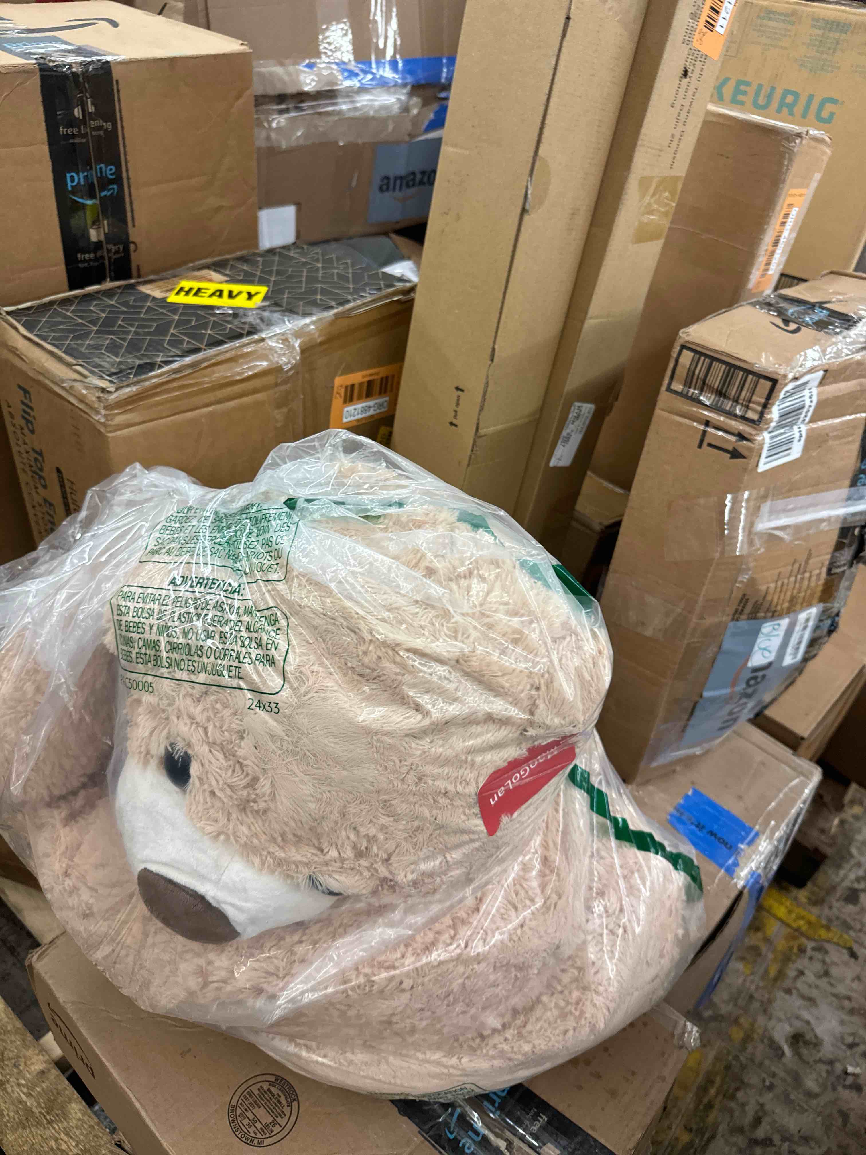https://s3.amazonaws.com/lotting-images-prod/phillipi/ORG4881215_1709845621686.jpeg