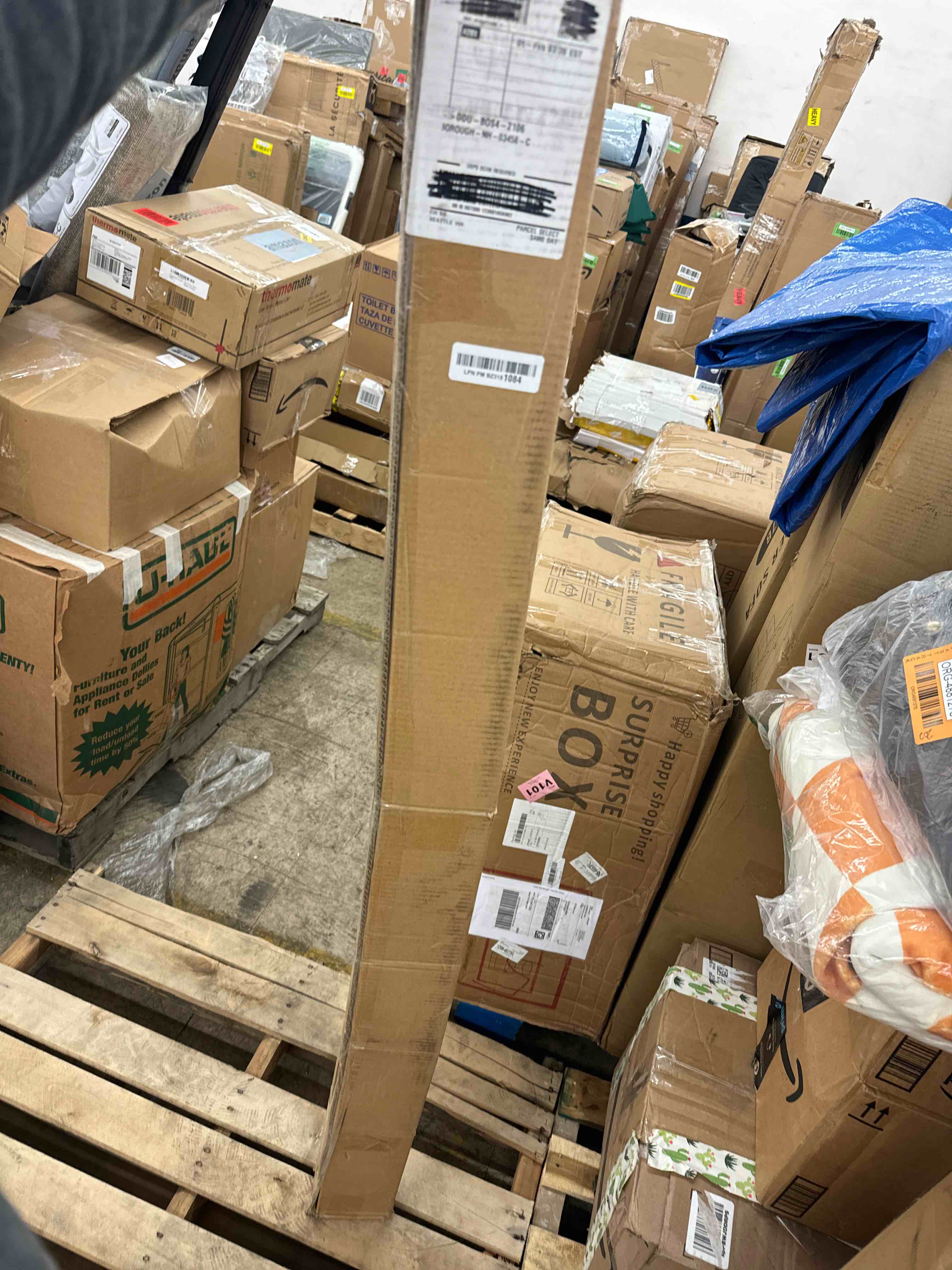 https://s3.amazonaws.com/lotting-images-prod/phillipi/ORG4881276_1709919523610.jpeg