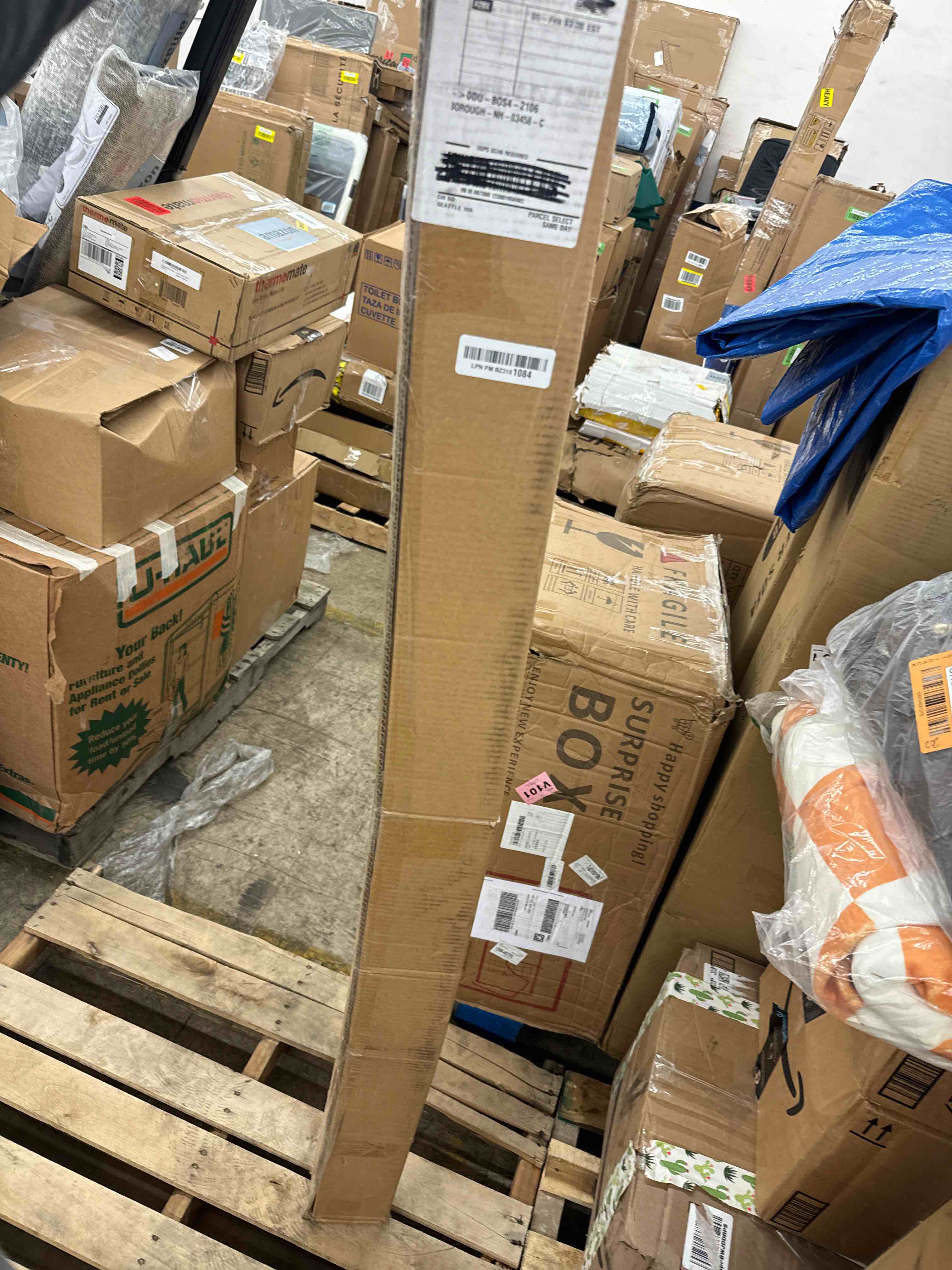 https://s3.amazonaws.com/lotting-images-prod/phillipi/ORG4881276_1709919524507.jpeg