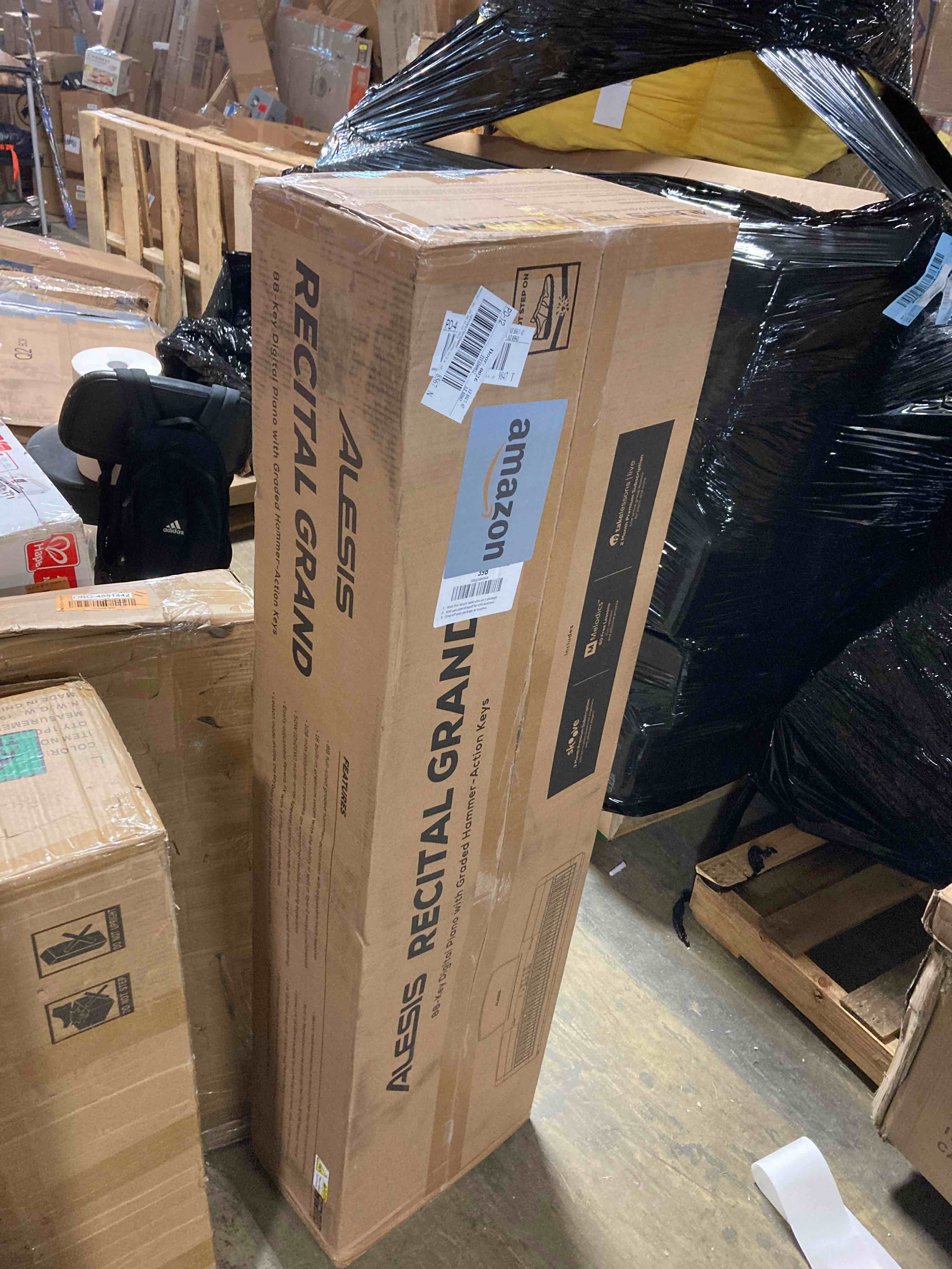 https://s3.amazonaws.com/lotting-images-prod/phillipi/ORG4881446_1707334372556.jpeg
