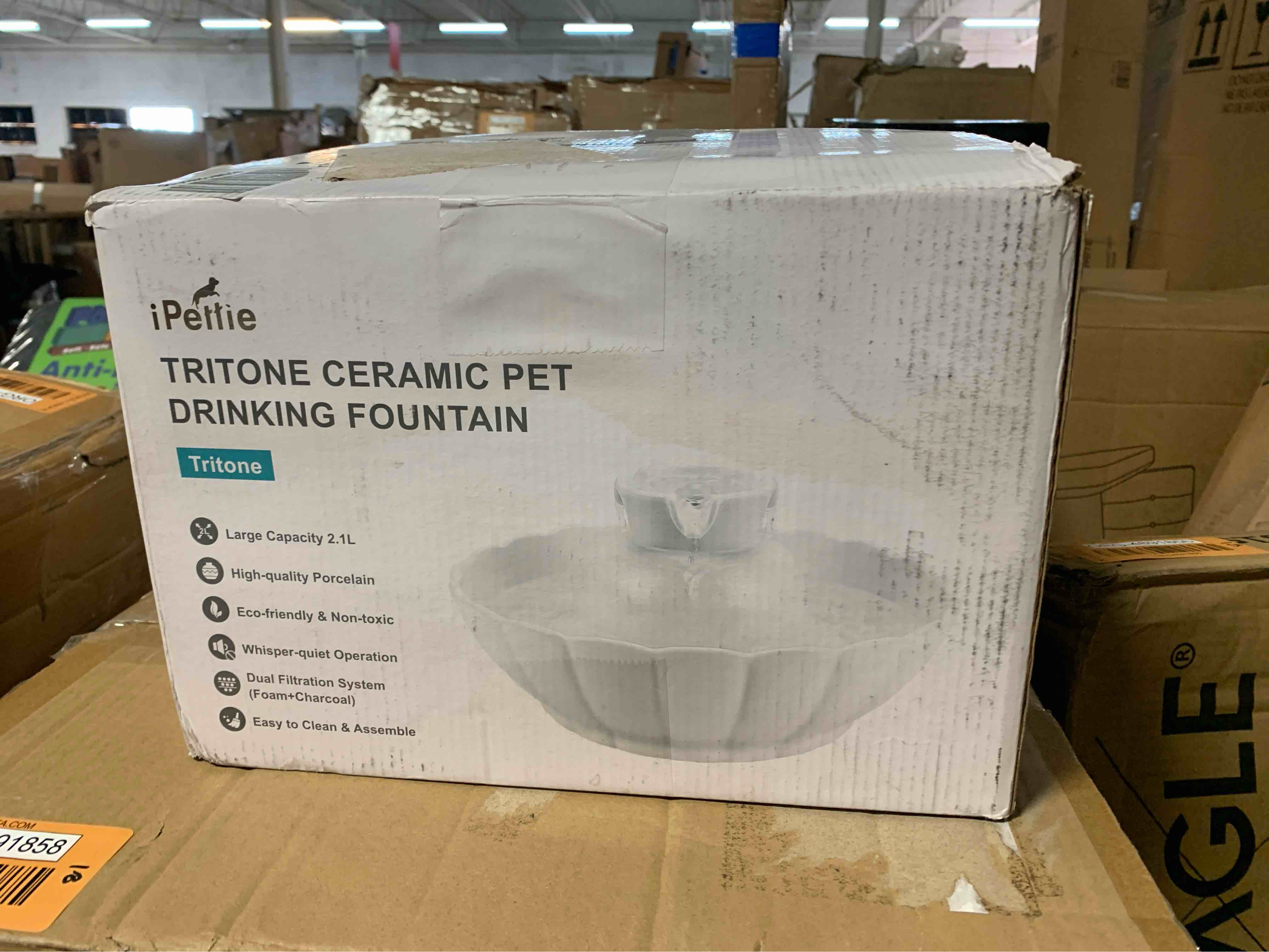 https://s3.amazonaws.com/lotting-images-prod/phillipi/ORG4891862_1710267642481.jpeg