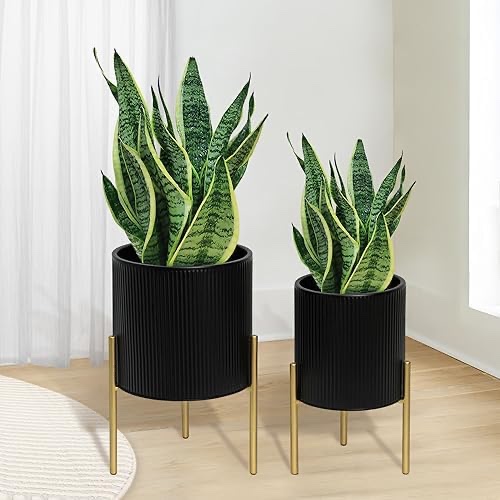 ARNIS Modern Planter Pots, Round Large Planters with Stand, Decorative Planters, Metal Pots with Drainage Holes for Living Room, Office, Garden or Balcony, 8 &10.25 Inch, Black & Gold