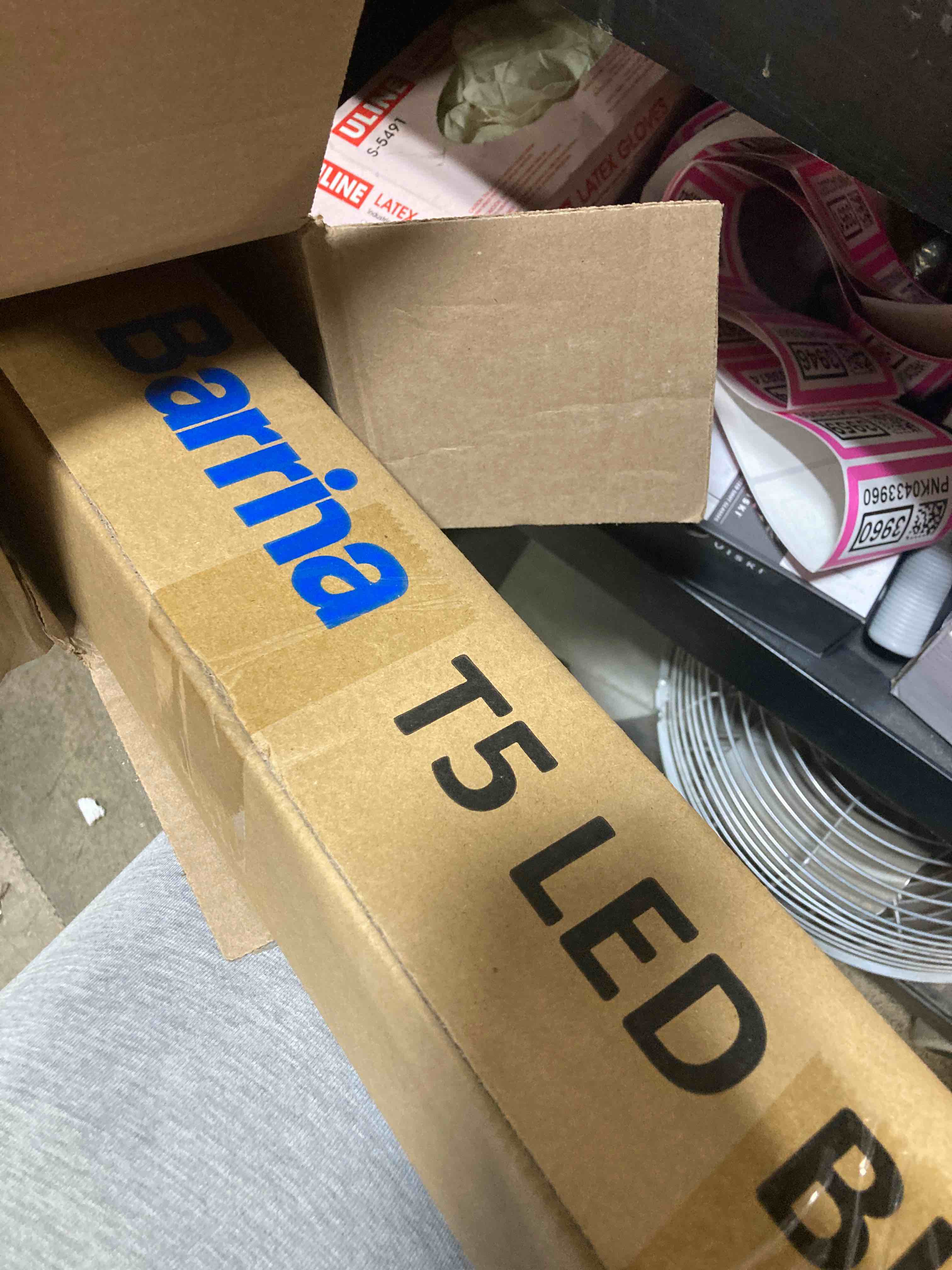 https://s3.amazonaws.com/lotting-images-prod/phillipi/ORG5076126_1730304066813.jpeg