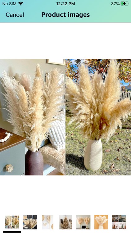 40" inch 20 Stems Natural Pampas Grass Decor Tall, pompas Grass, Tall Pampas Grass for Wedding, Party, Farmhouse, Boho Home Decor