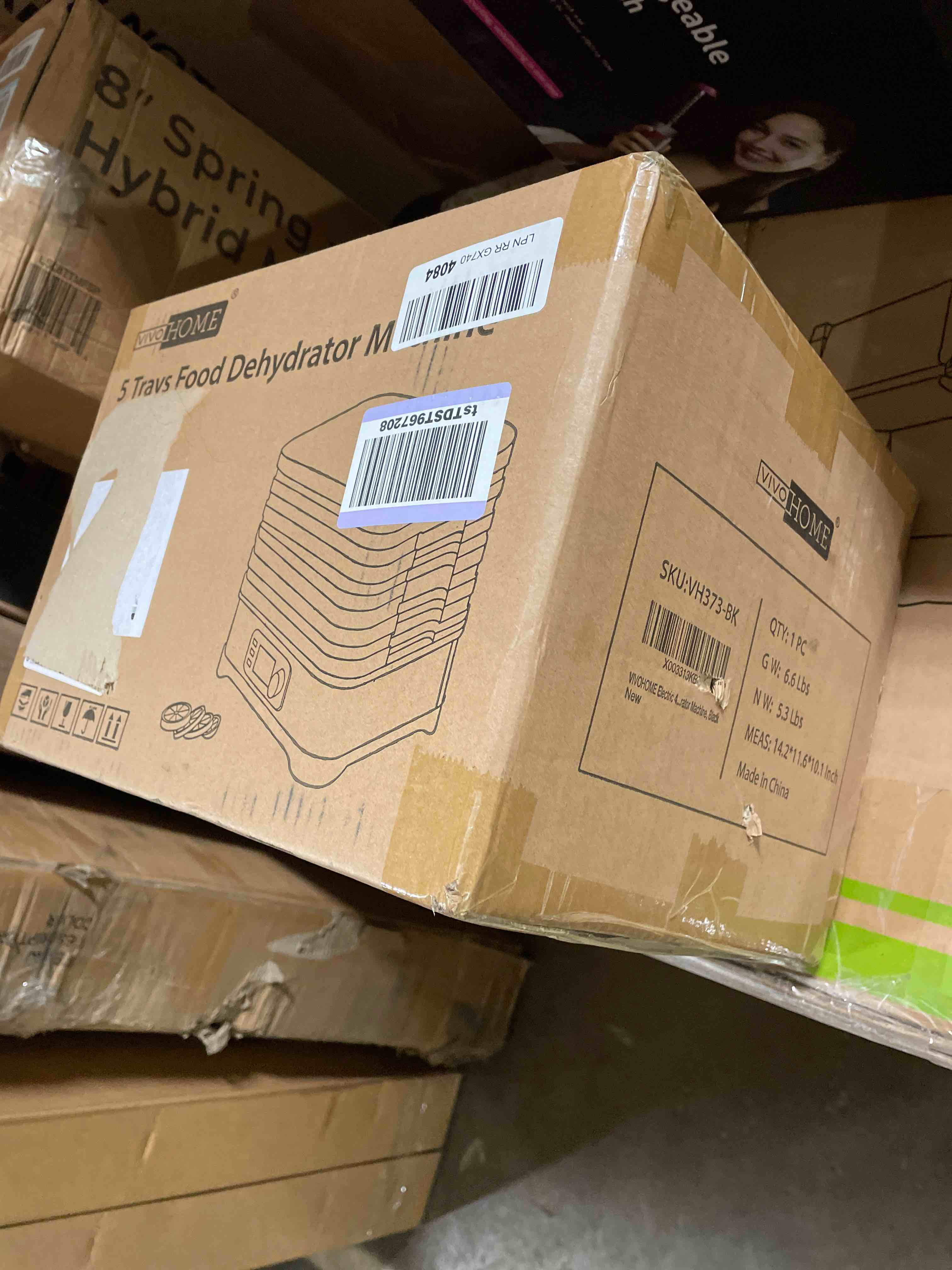 https://s3.amazonaws.com/lotting-images-prod/phillipi/ORG5081998_1706629791104.jpeg