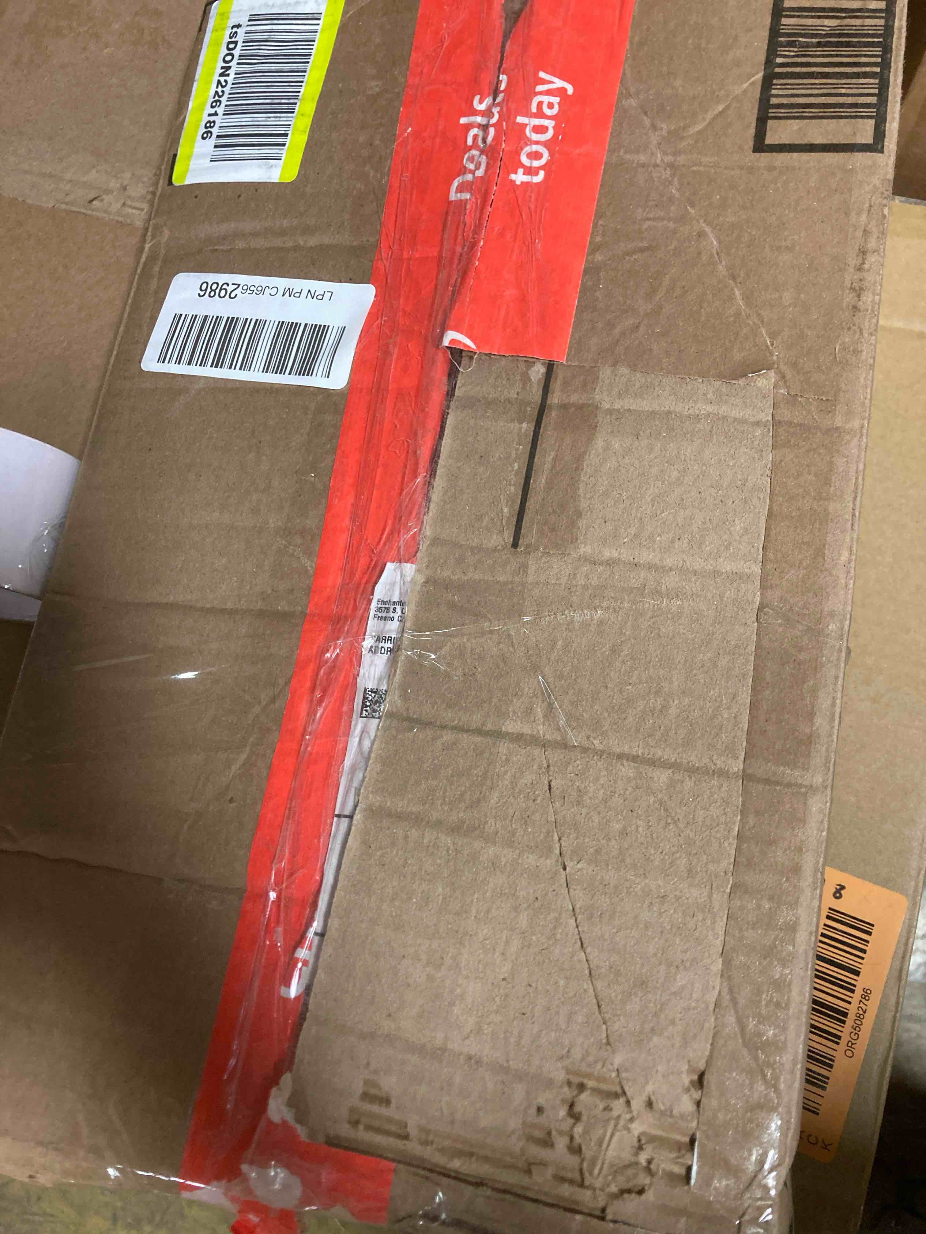https://s3.amazonaws.com/lotting-images-prod/phillipi/ORG5082789_1703107345299.jpeg