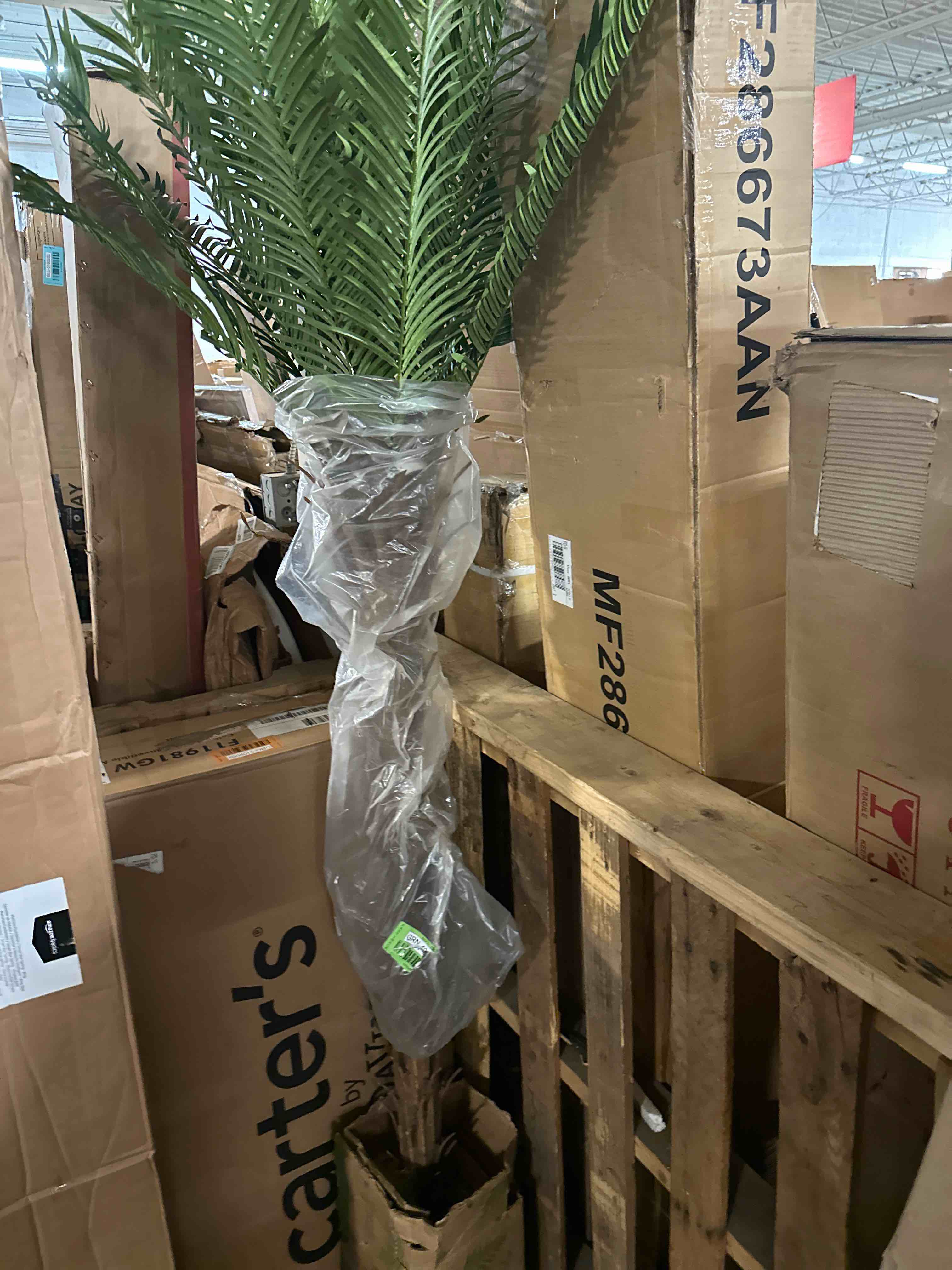 https://s3.amazonaws.com/lotting-images-prod/phillipi/ORG5109075_1698165367991.jpeg