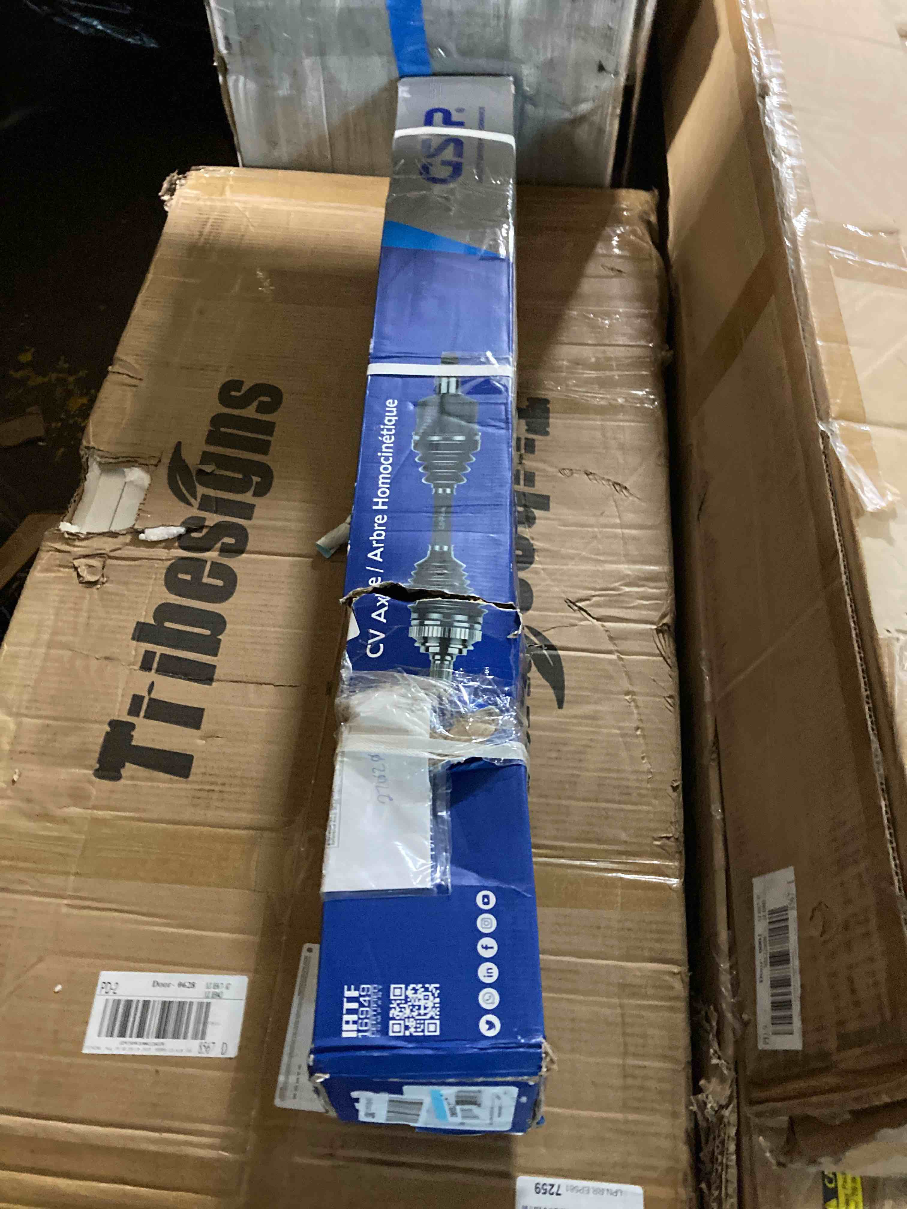https://s3.amazonaws.com/lotting-images-prod/phillipi/ORG5110255_1696451058128.jpeg