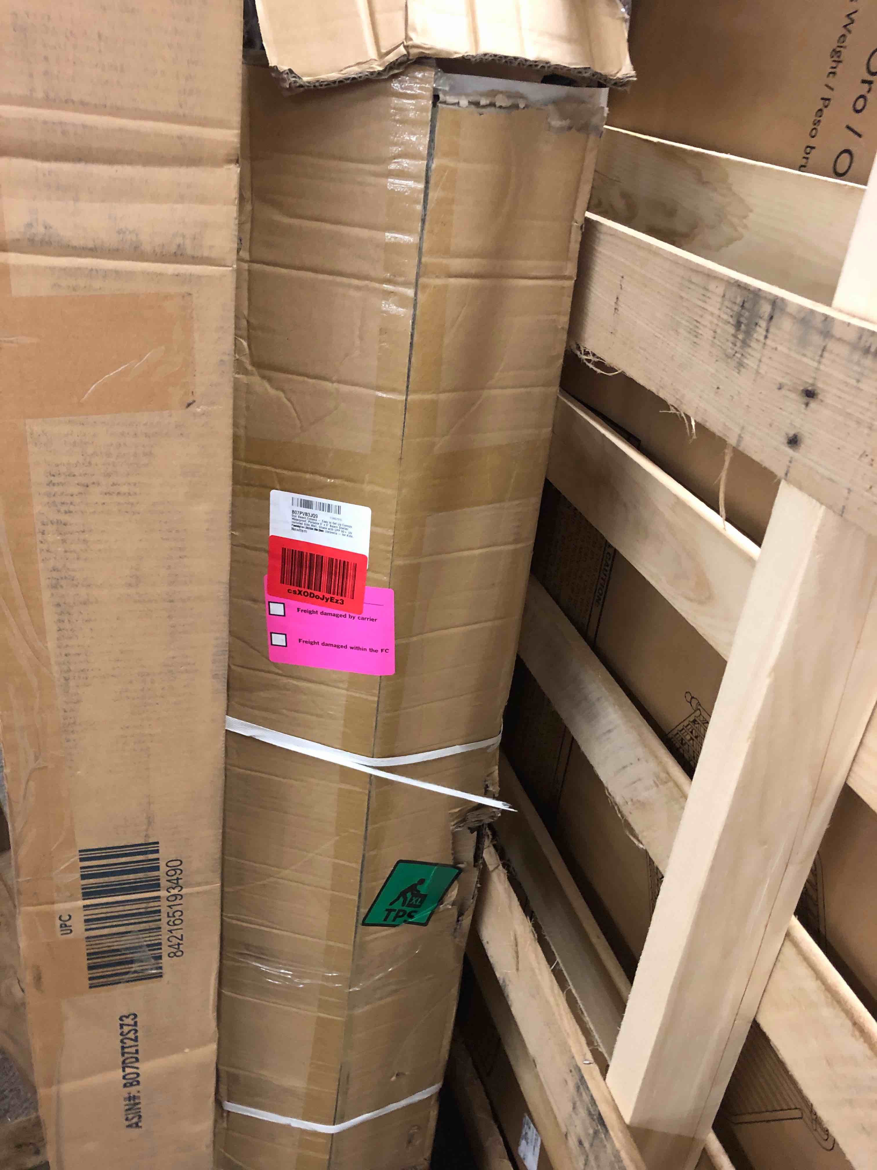 https://s3.amazonaws.com/lotting-images-prod/phillipi/ORG5160357_1697553601715.jpeg