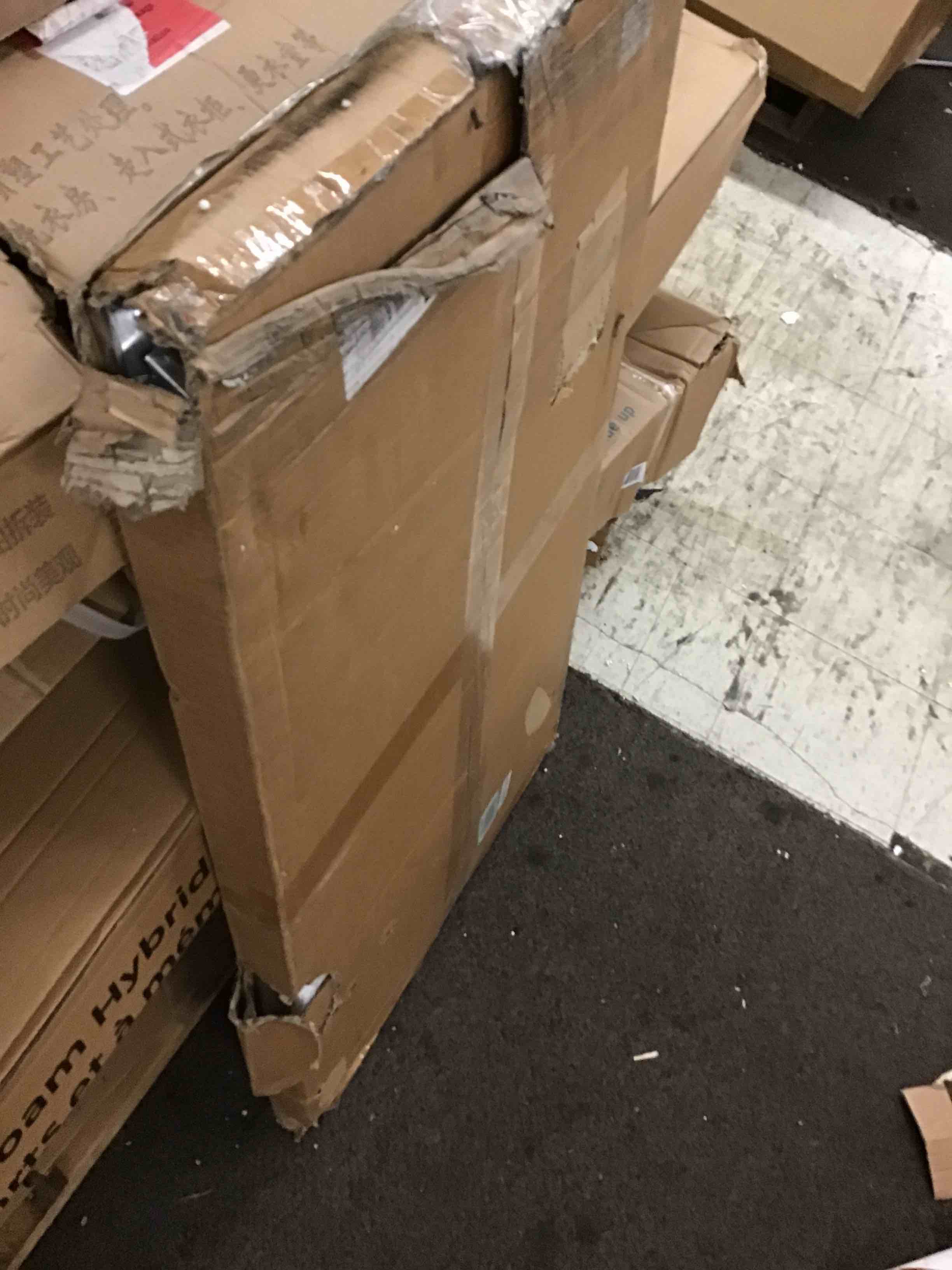 https://s3.amazonaws.com/lotting-images-prod/phillipi/ORG5160534_1692913659168.jpeg