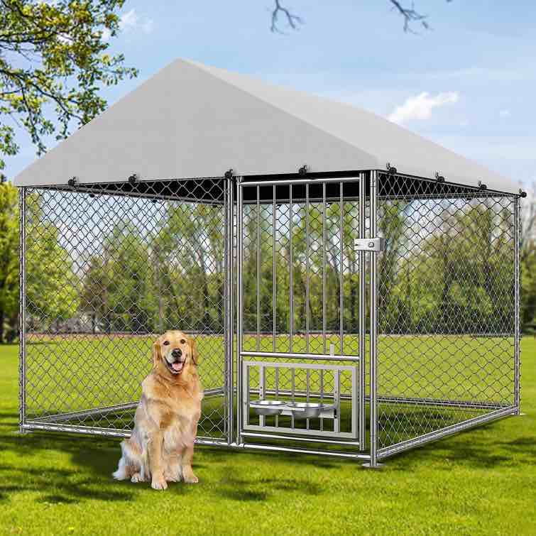 Sapphome PET PEN