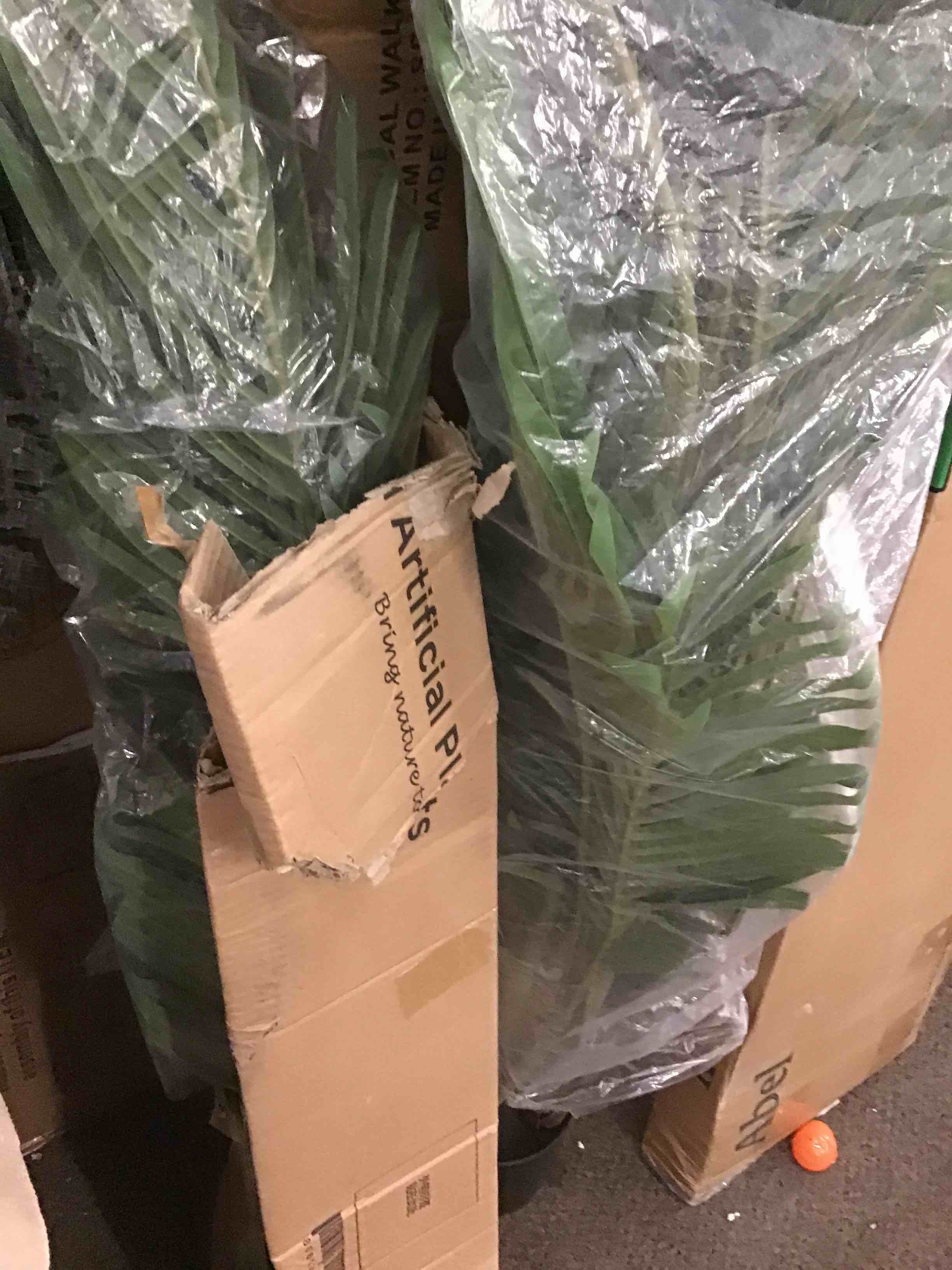 https://s3.amazonaws.com/lotting-images-prod/phillipi/ORG5166960_1690391864608.jpeg
