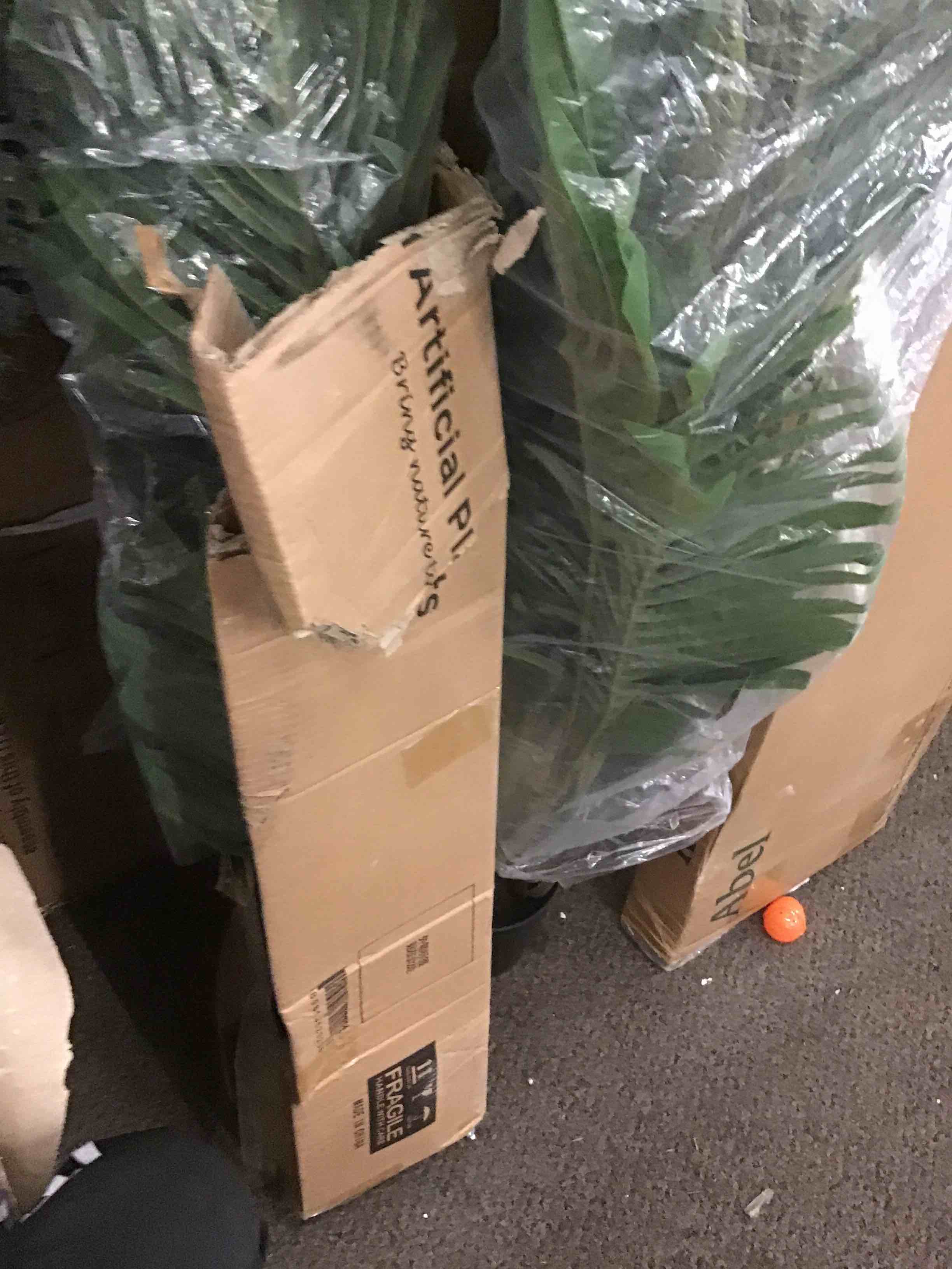 https://s3.amazonaws.com/lotting-images-prod/phillipi/ORG5166960_1690391867171.jpeg