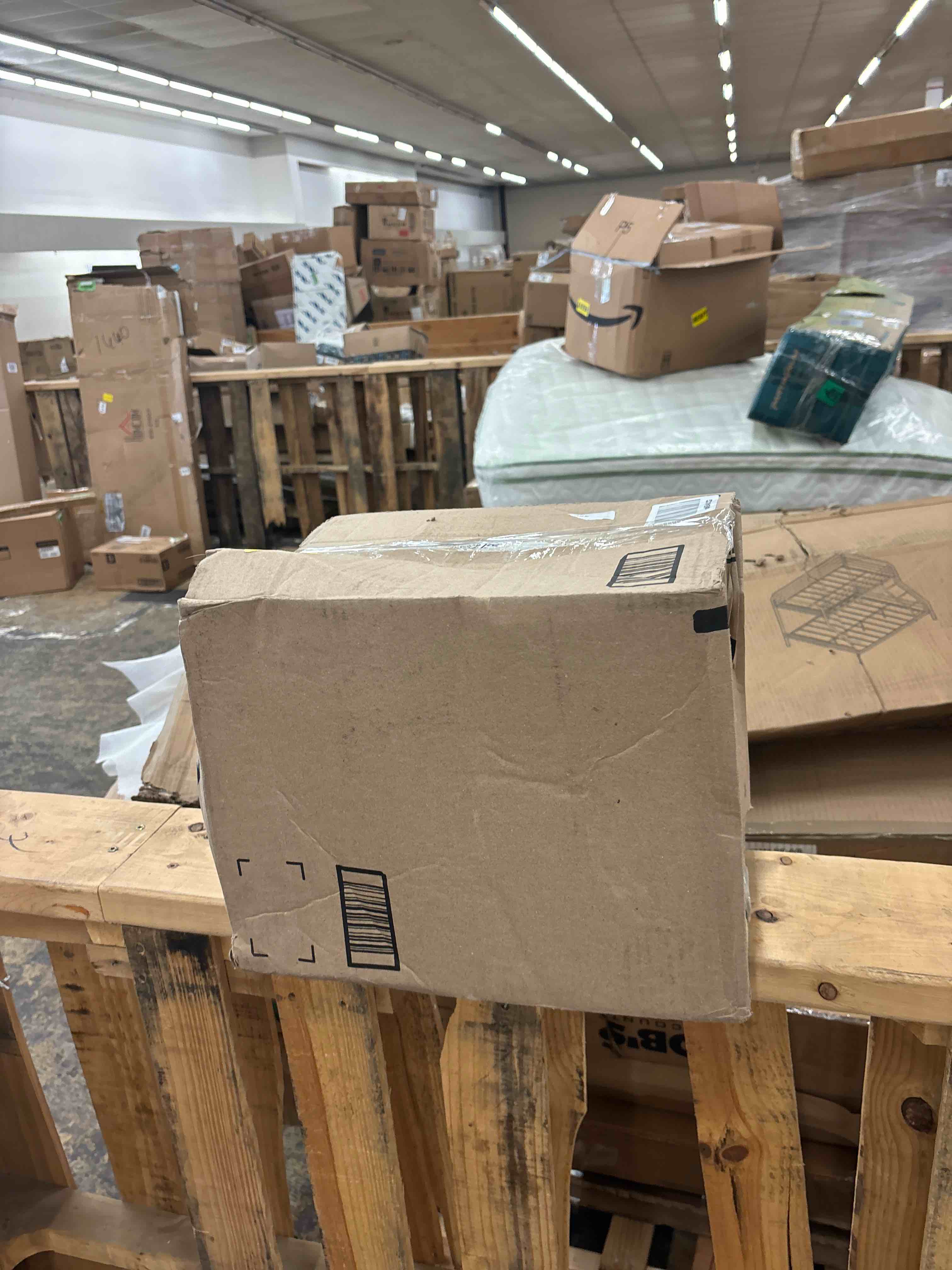 https://s3.amazonaws.com/lotting-images-prod/phillipi/ORG5450248_1725904489488.jpeg