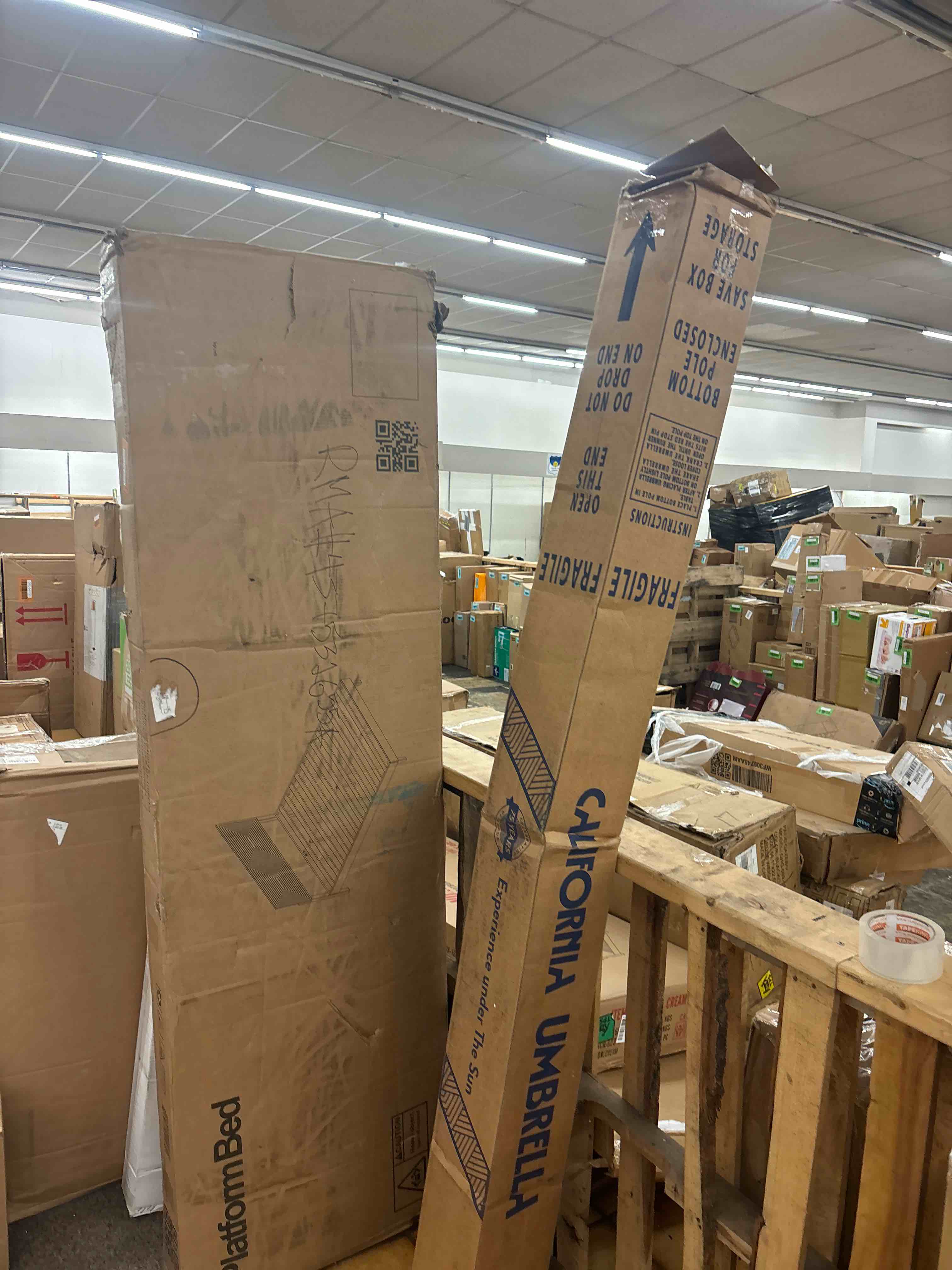 https://s3.amazonaws.com/lotting-images-prod/phillipi/ORG5451332_1728551414237.jpeg
