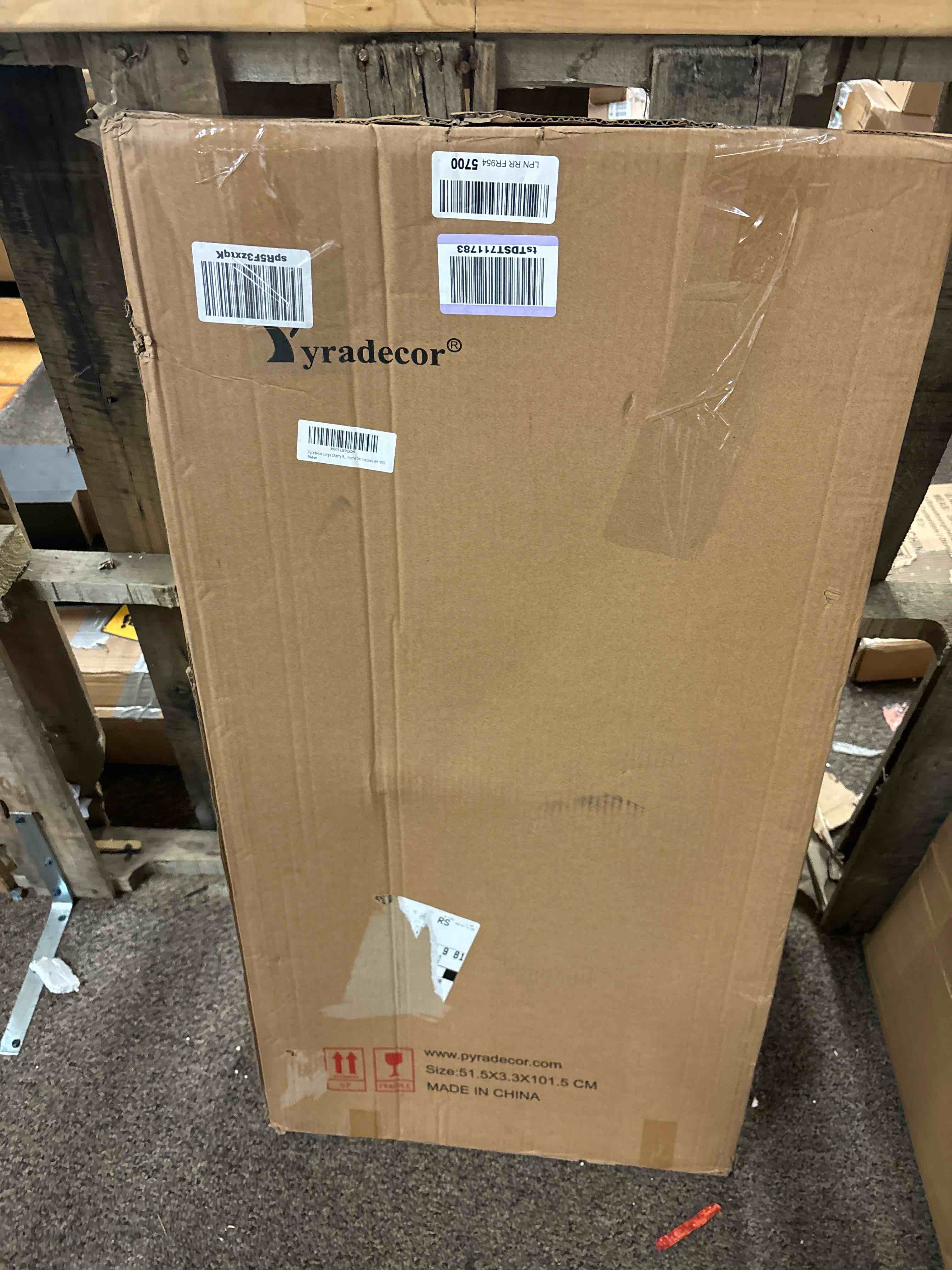 https://s3.amazonaws.com/lotting-images-prod/phillipi/ORG5453372_1706114350470.jpeg