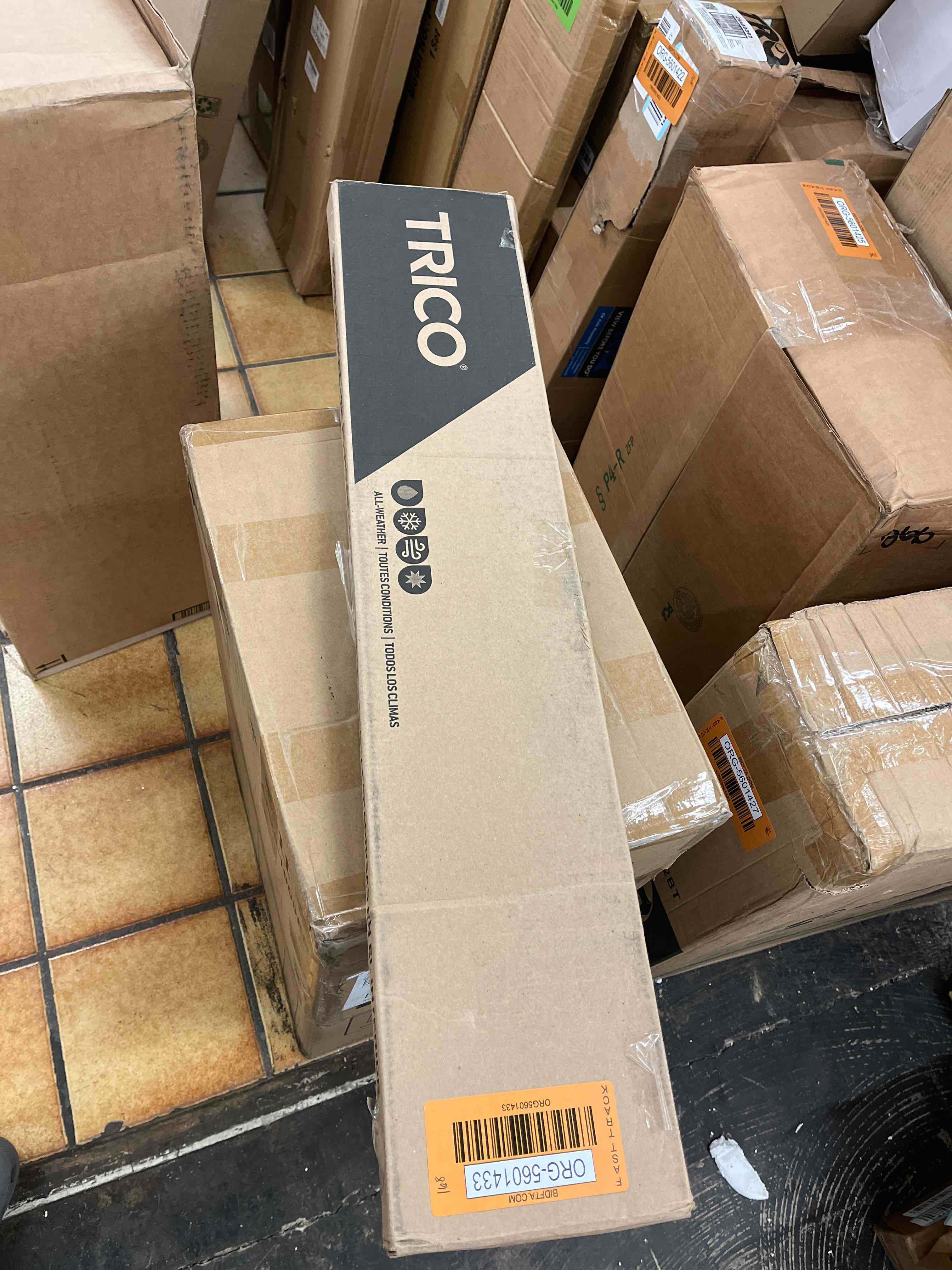 https://s3.amazonaws.com/lotting-images-prod/phillipi/ORG5601433_1731604644084.jpeg