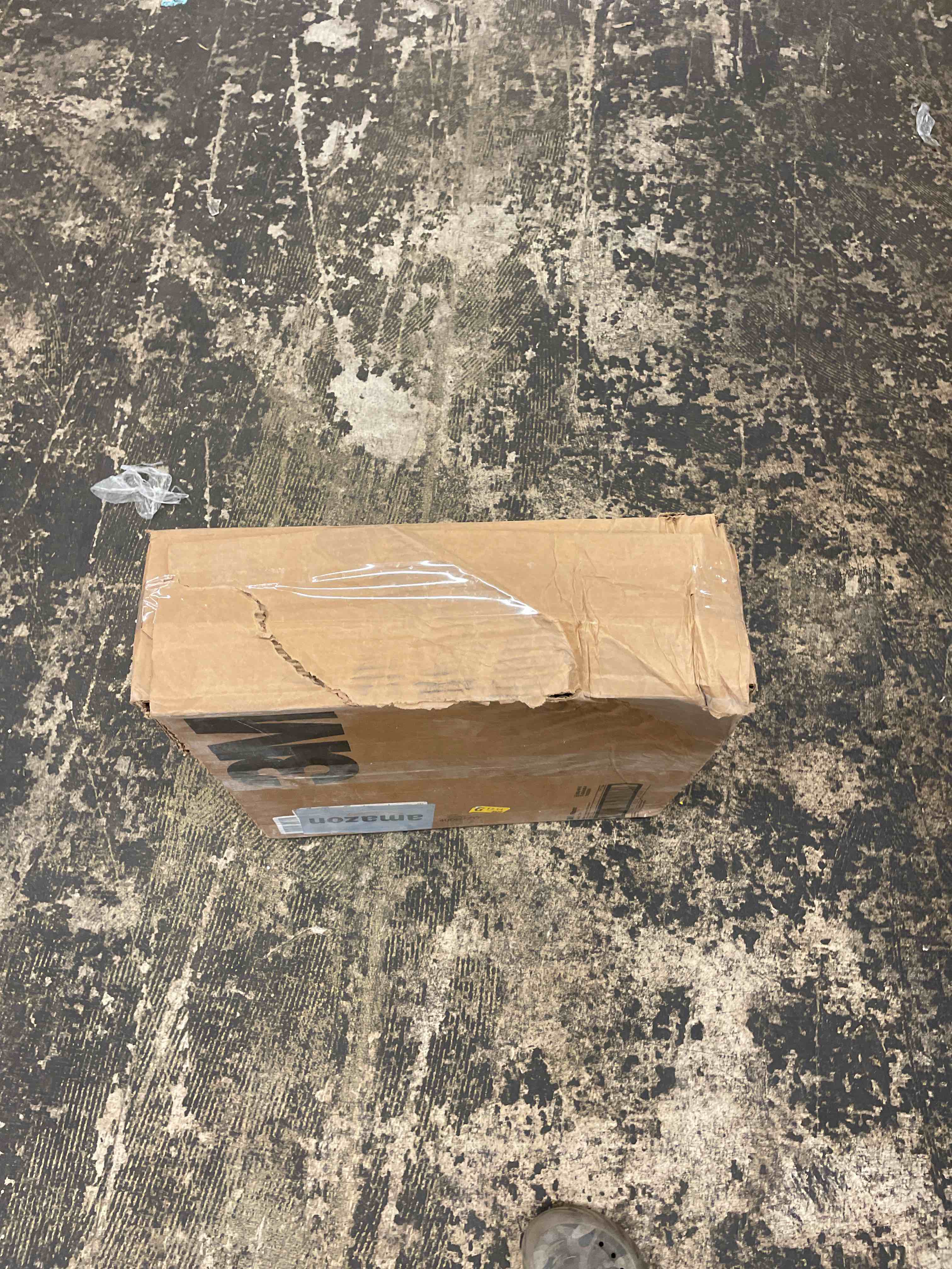 https://s3.amazonaws.com/lotting-images-prod/phillipi/ORG5601584_1729628412963.jpeg