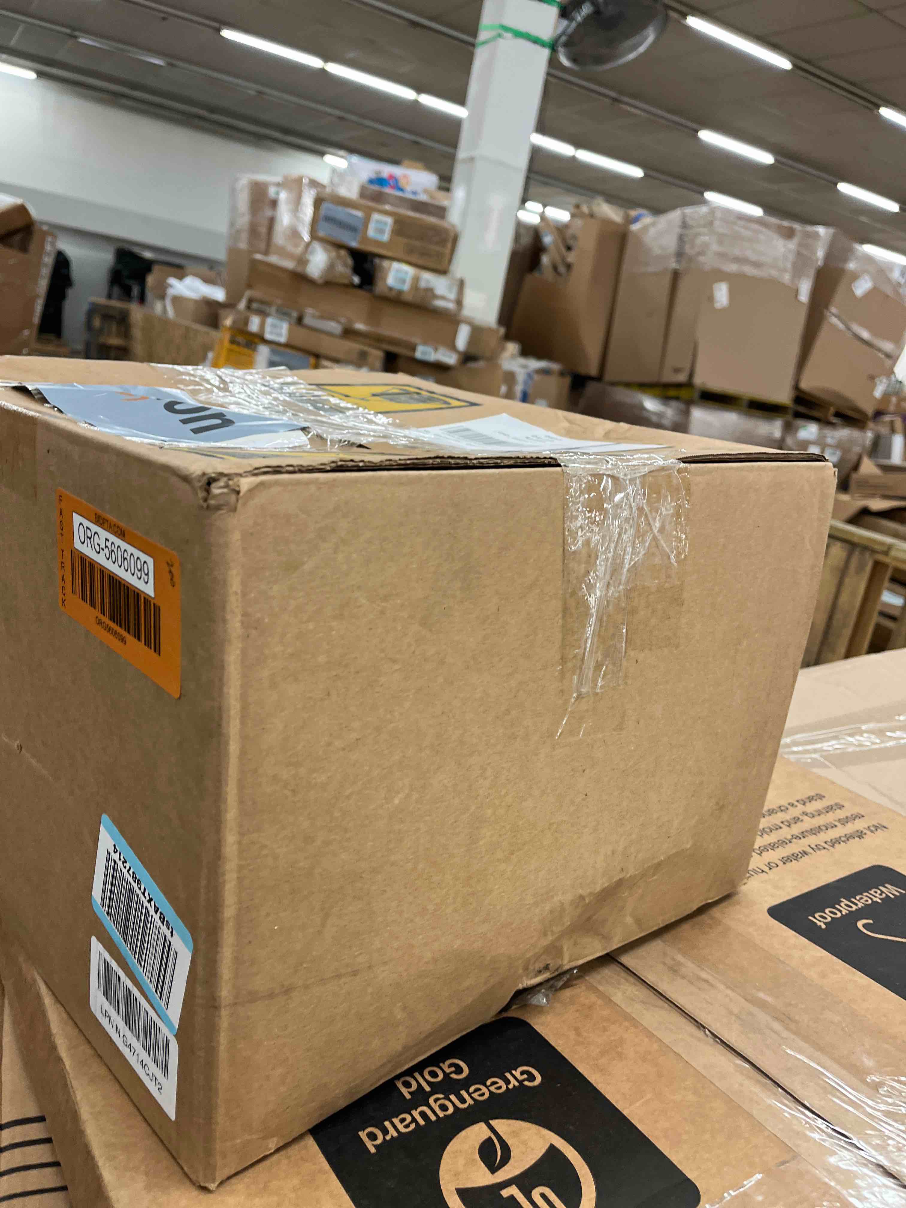 https://s3.amazonaws.com/lotting-images-prod/phillipi/ORG5606099_1732032212783.jpeg