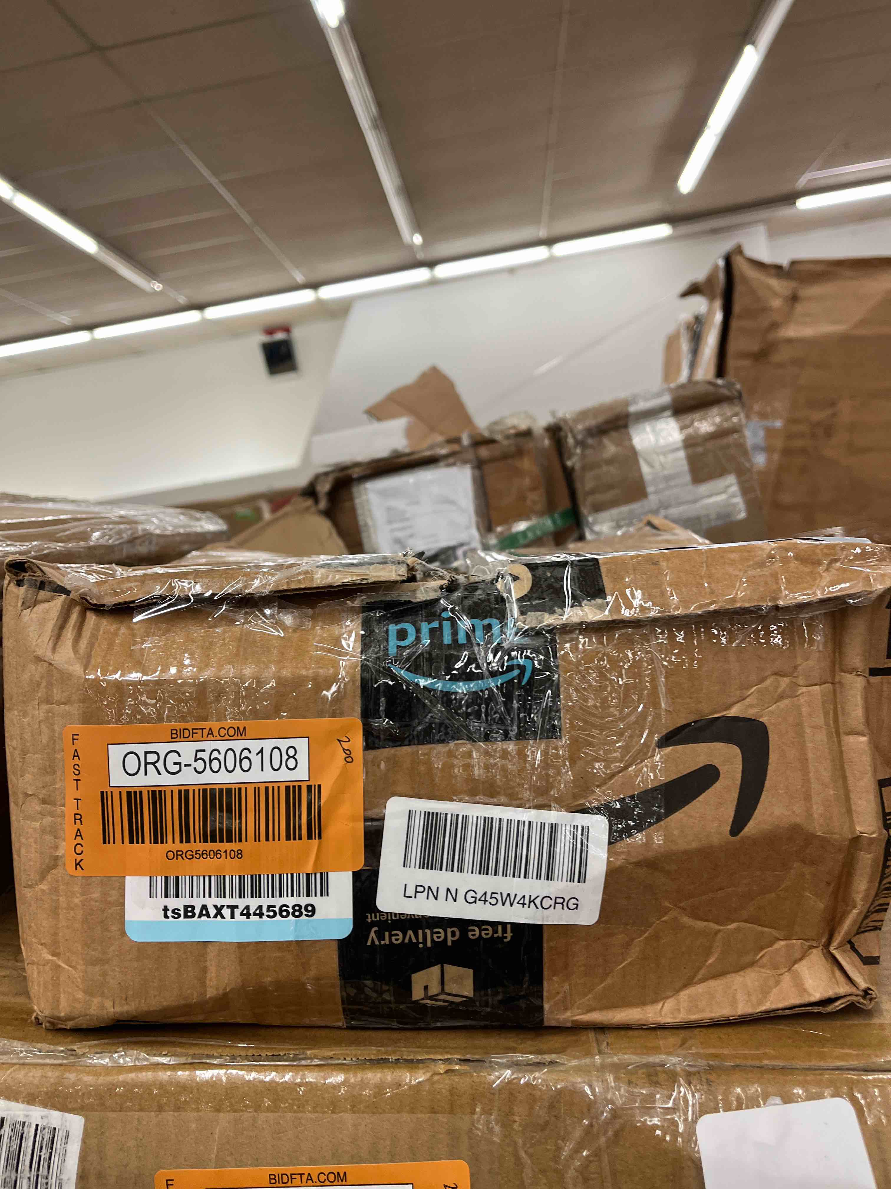 https://s3.amazonaws.com/lotting-images-prod/phillipi/ORG5606108_1732032937322.jpeg