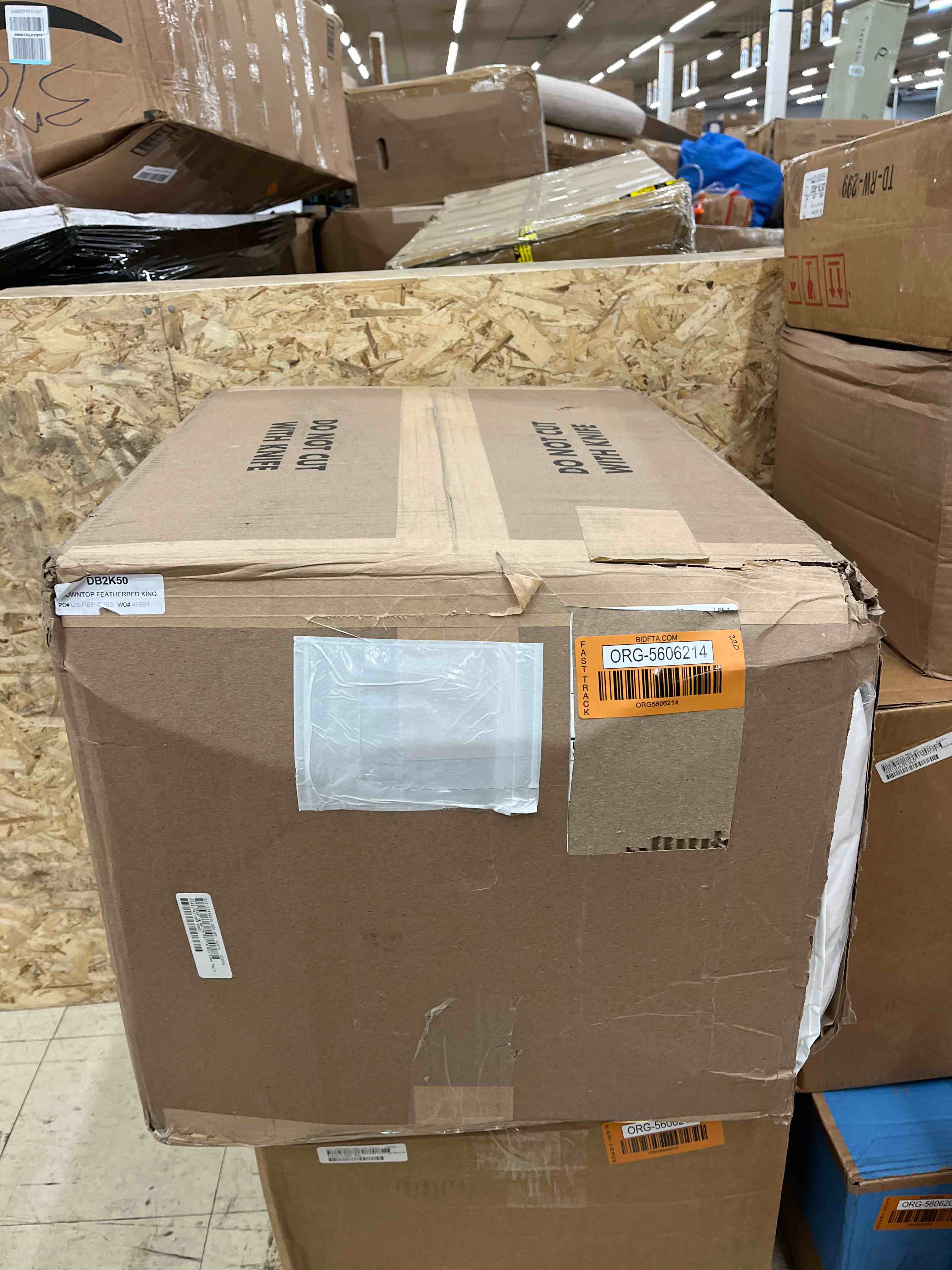 https://s3.amazonaws.com/lotting-images-prod/phillipi/ORG5606214_1732201774124.jpeg