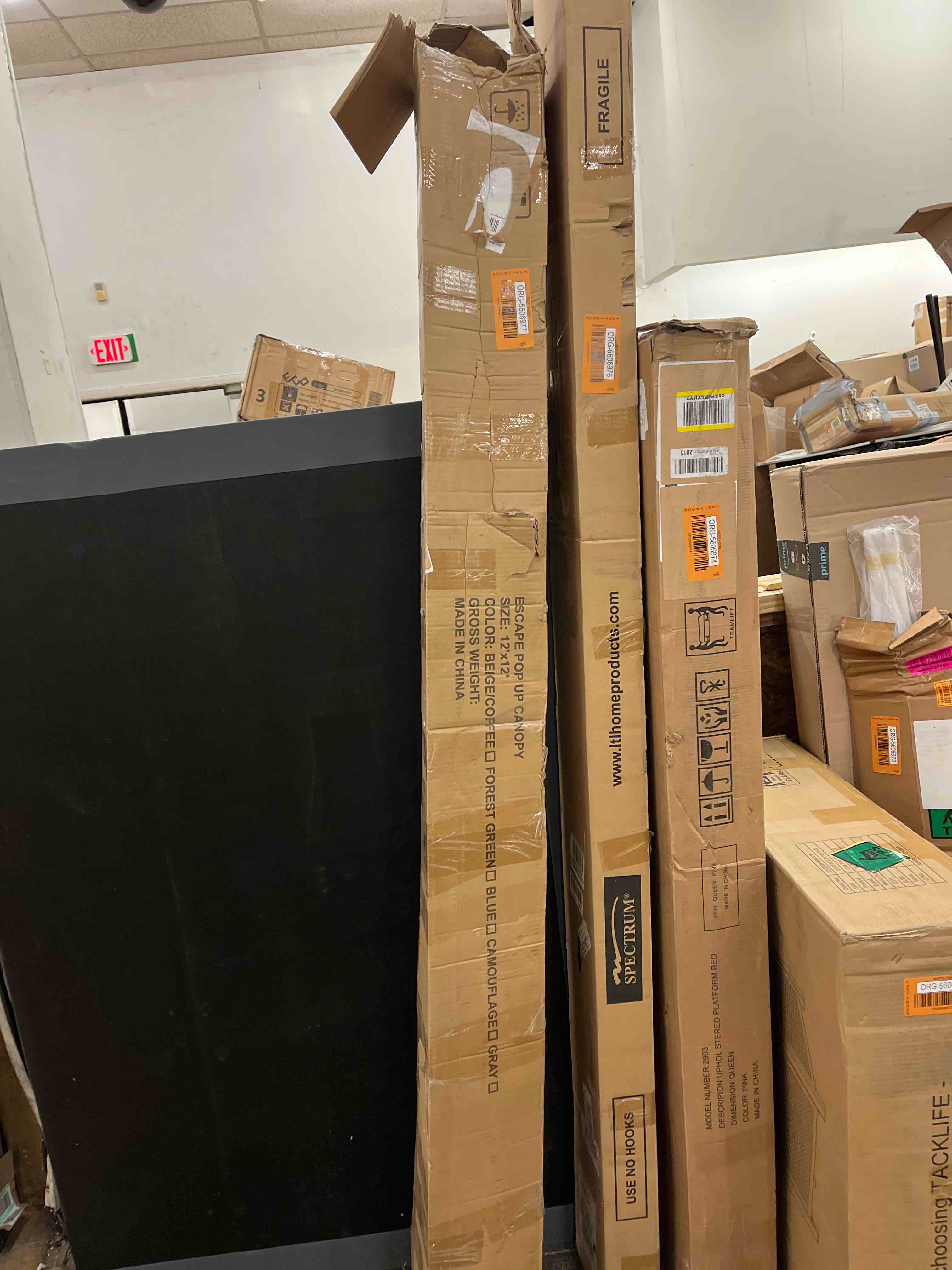https://s3.amazonaws.com/lotting-images-prod/phillipi/ORG5606977_1734012246733.jpeg