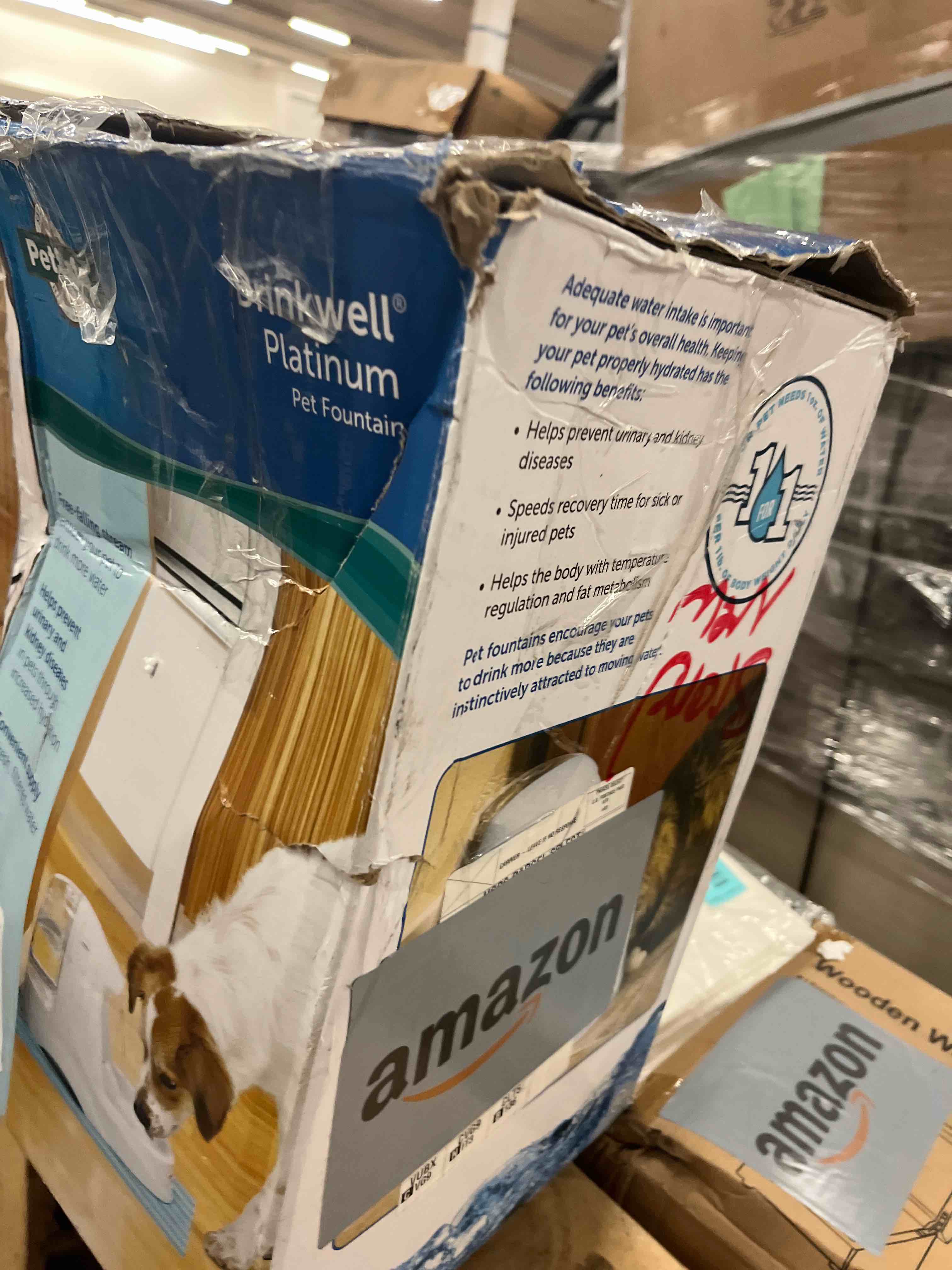 https://s3.amazonaws.com/lotting-images-prod/phillipi/ORG5611810_1752098037249.jpeg