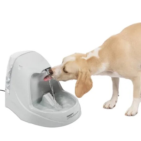 PetSafe Drinkwell Platinum Pet Water Fountain for Cats and Dogs  168 oz