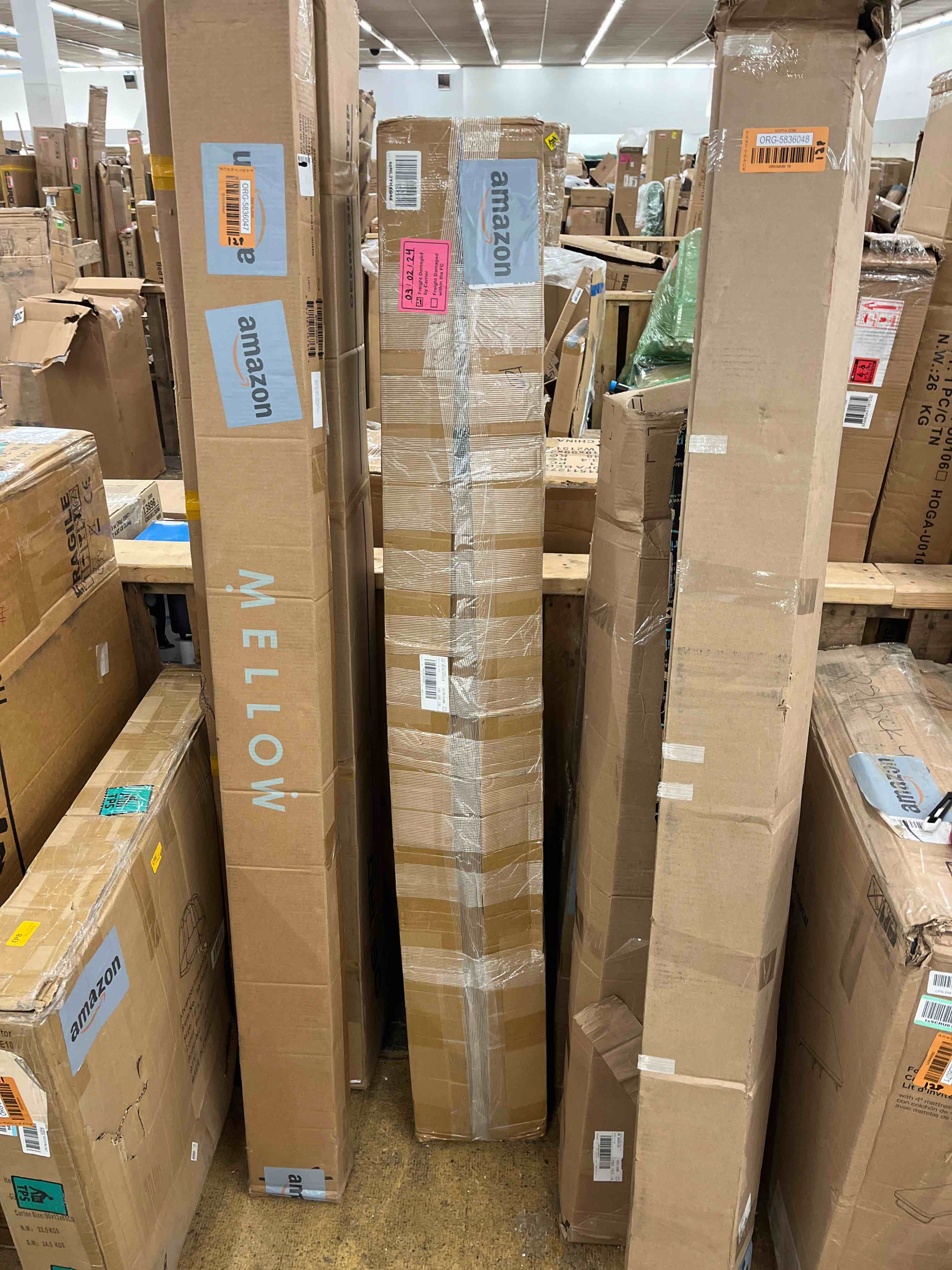 https://s3.amazonaws.com/lotting-images-prod/phillipi/ORG5836051_1717791581894.jpeg