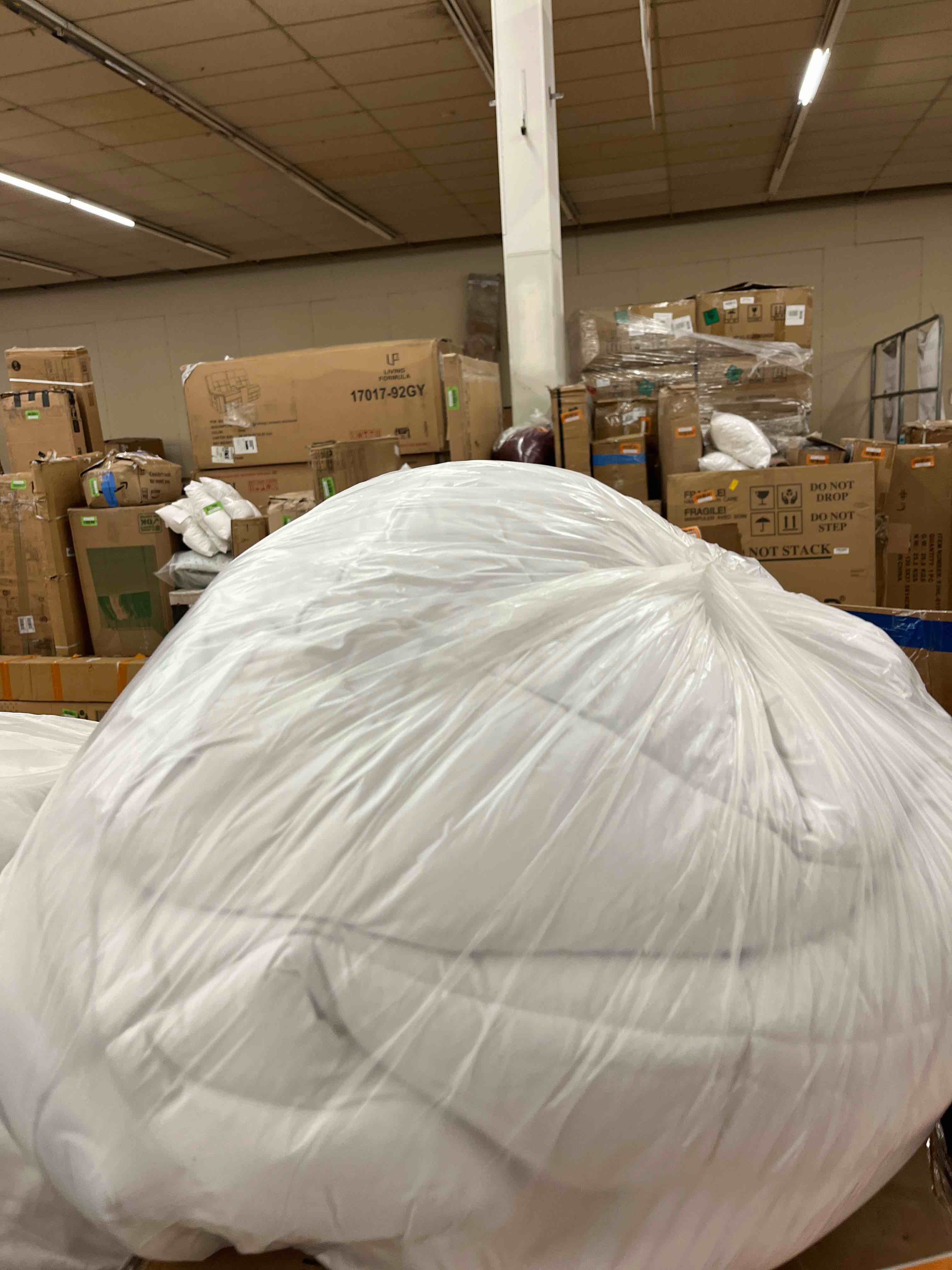 https://s3.amazonaws.com/lotting-images-prod/phillipi/ORG5839394_1714535590831.jpeg