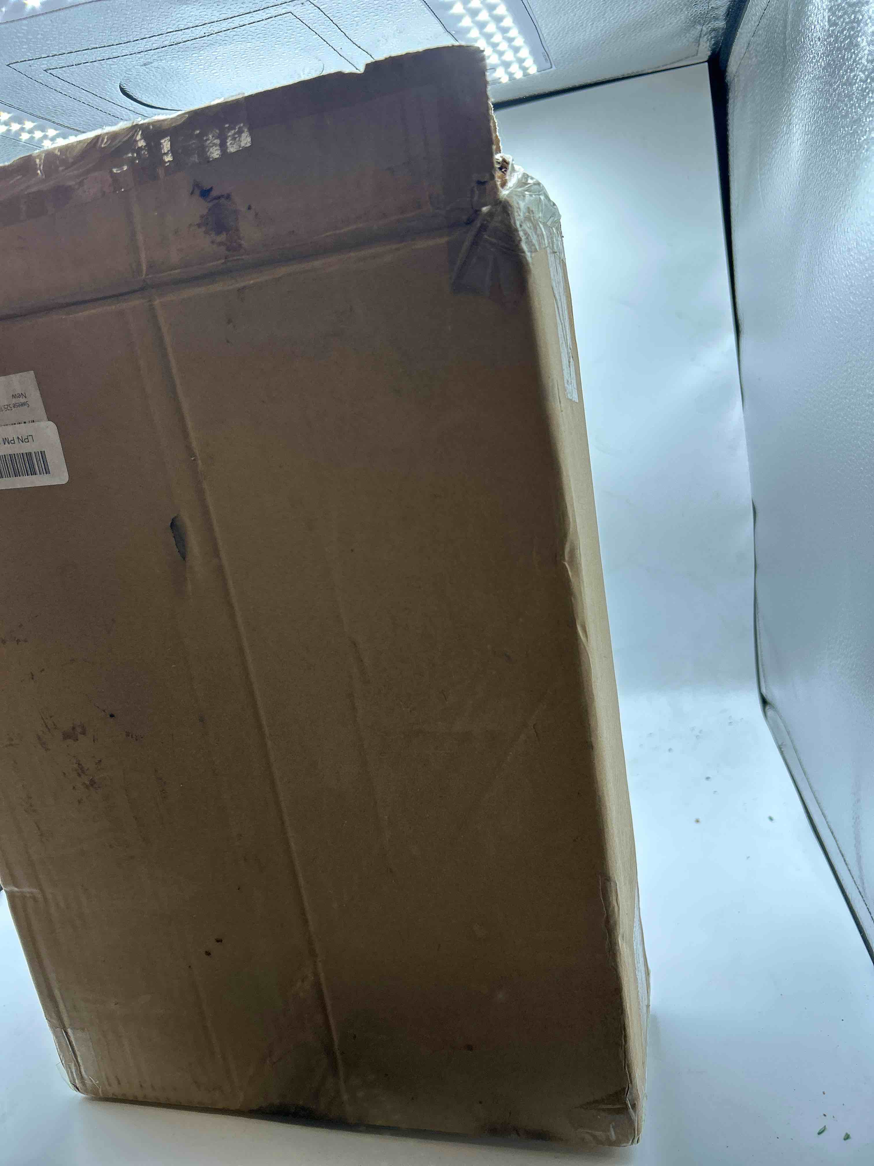 https://s3.amazonaws.com/lotting-images-prod/phillipi/ORG6082683_1713799394665.jpeg