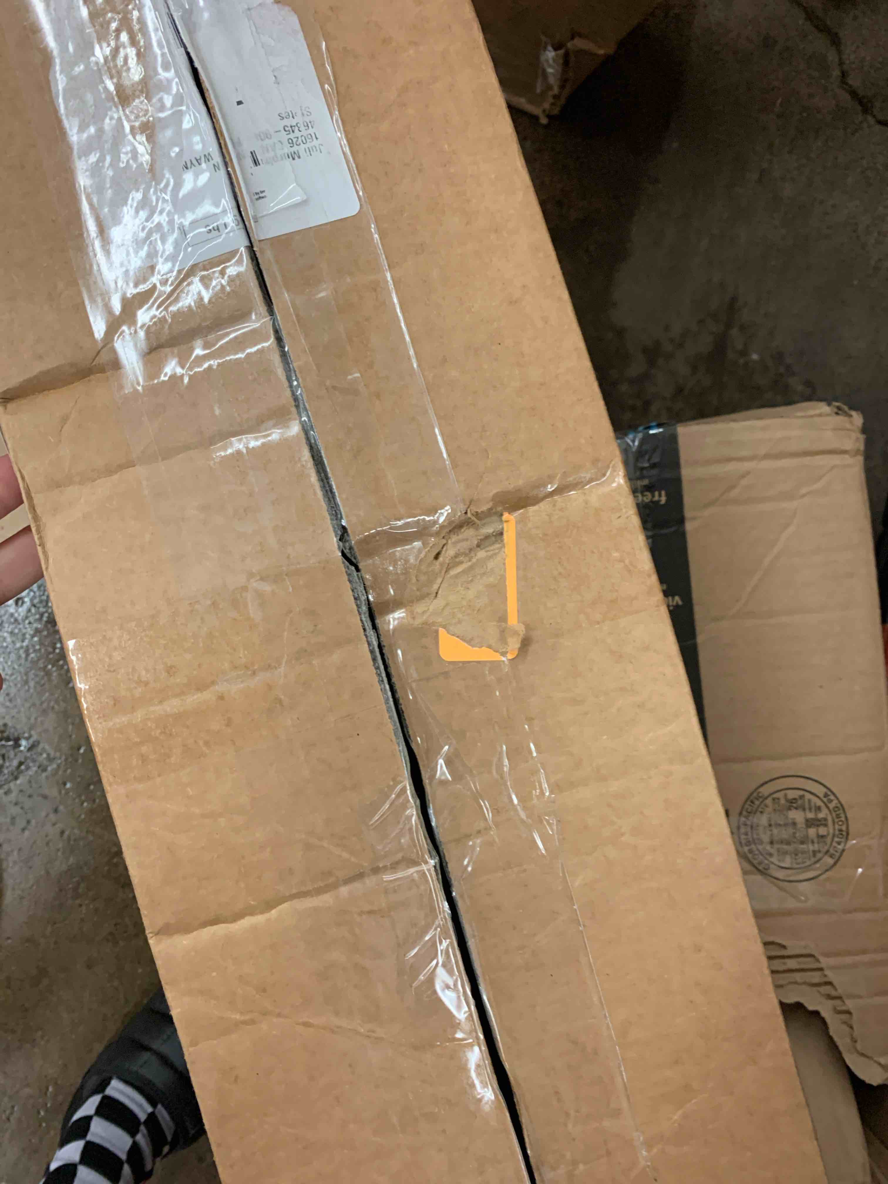 https://s3.amazonaws.com/lotting-images-prod/phillipi/ORG6084412_1731691079817.jpeg