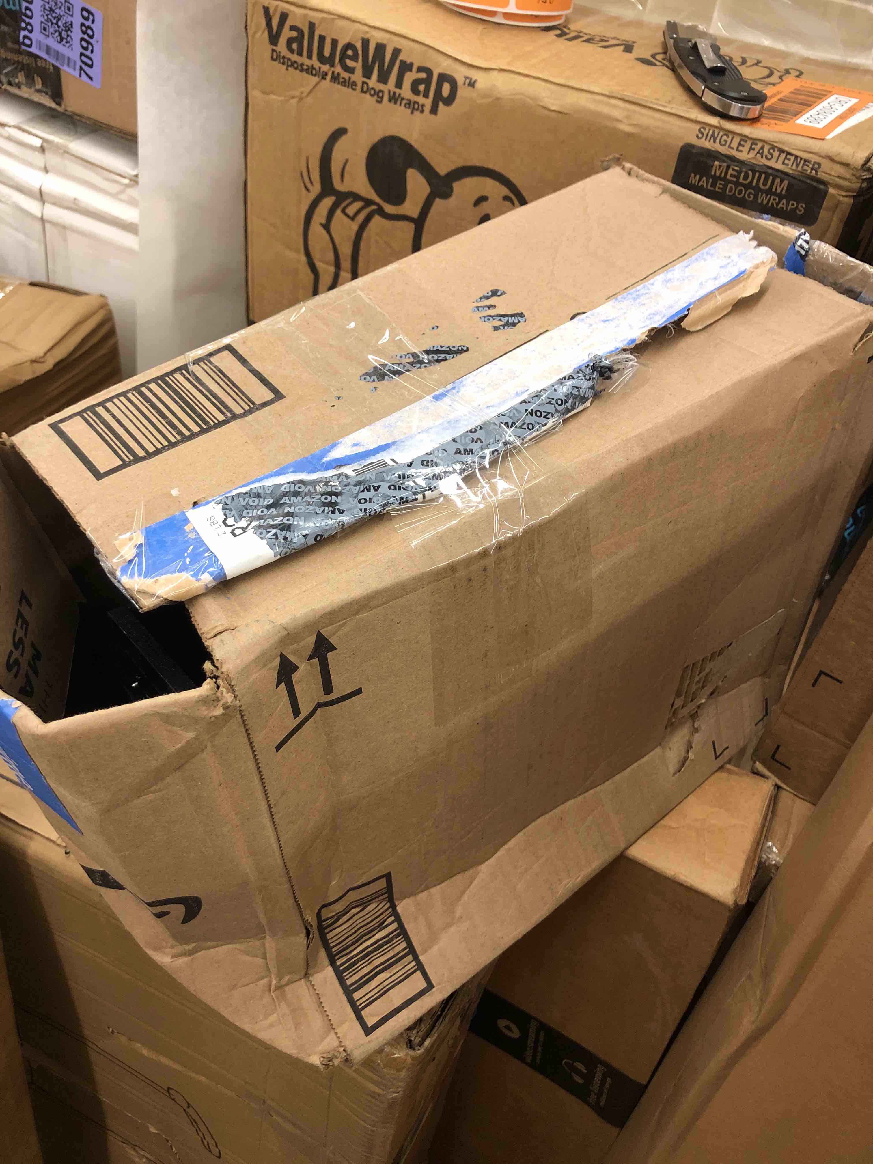 https://s3.amazonaws.com/lotting-images-prod/phillipi/ORG6084418_1731691365111.jpeg