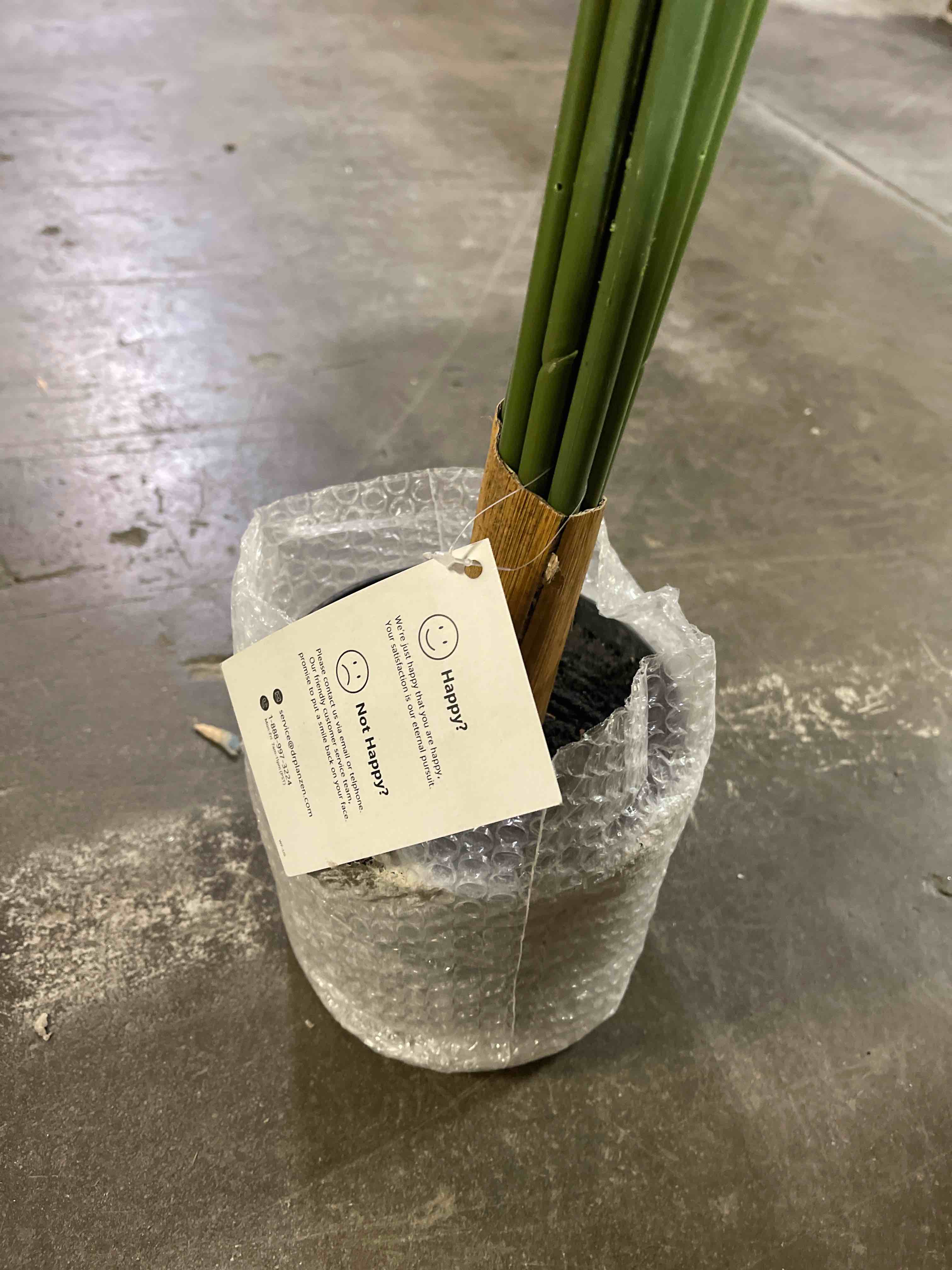 https://s3.amazonaws.com/lotting-images-prod/phillipi/ORG6088970_1714156025614.jpeg