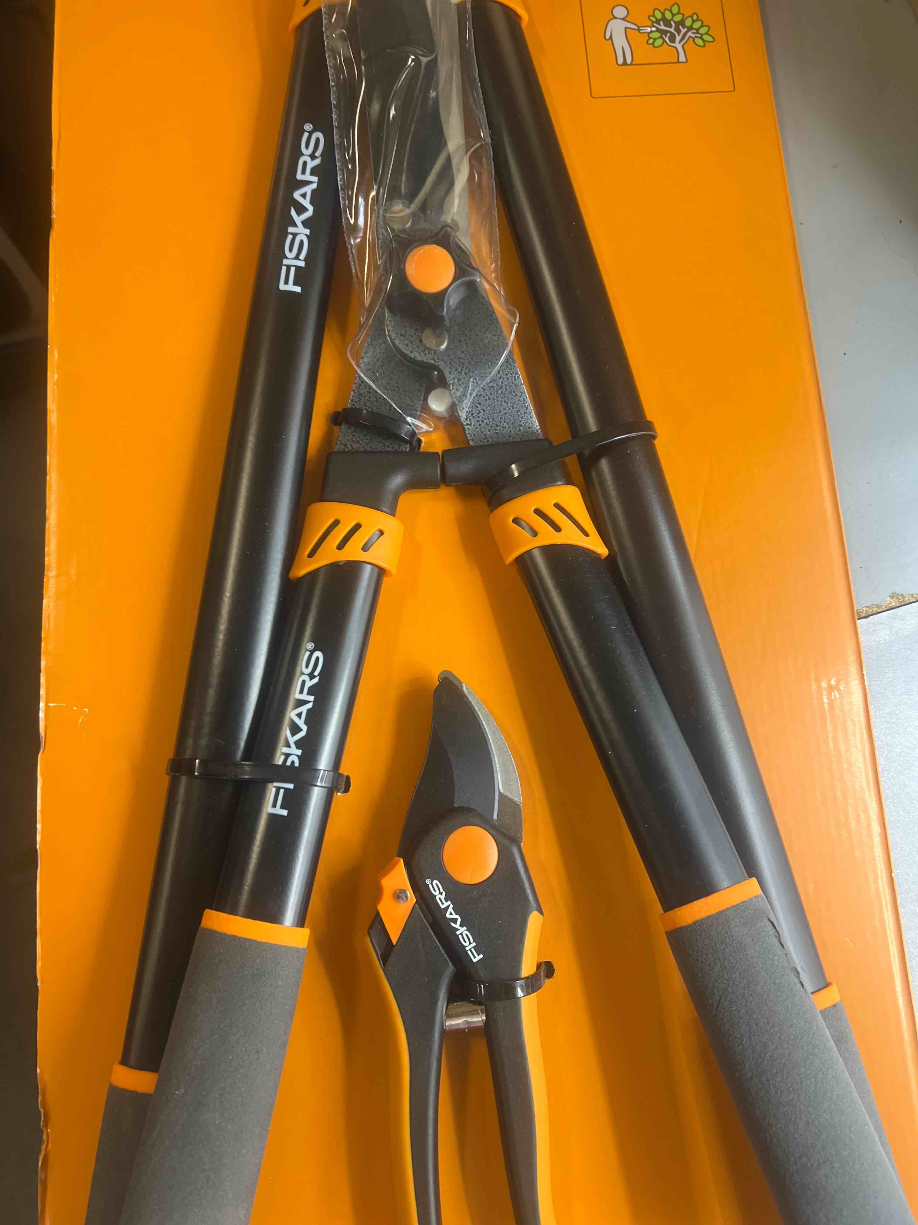 https://s3.amazonaws.com/lotting-images-prod/phillipi/ORG6440606_1719332122965.jpeg