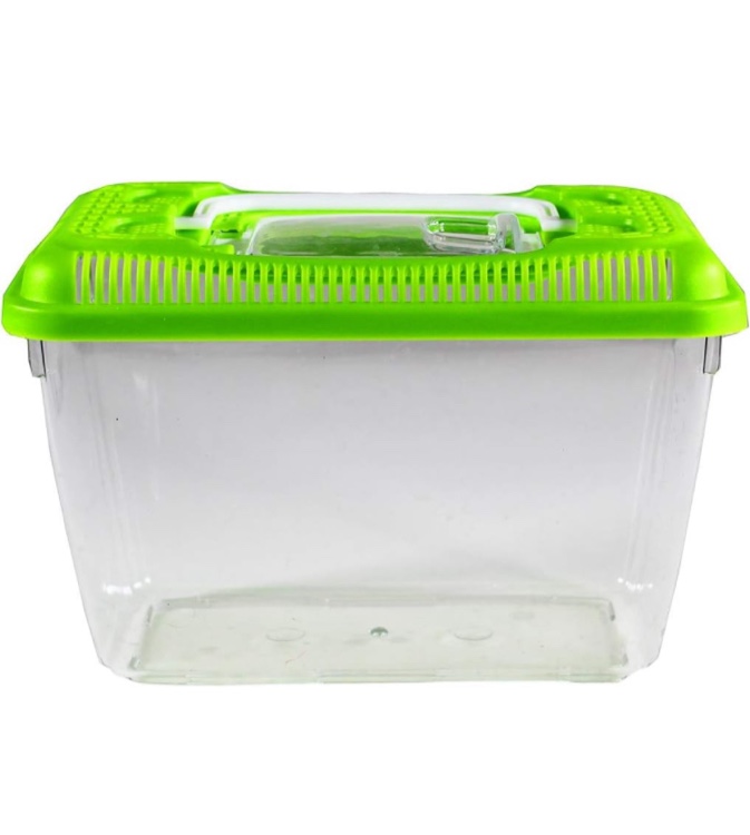 Penn-Plax Small World Habitat - Portable Clear and Transparent Plastic Tank - Excellent for Small Critters and Creatures - Easy to Clean & Handle - 0.6 Gallon