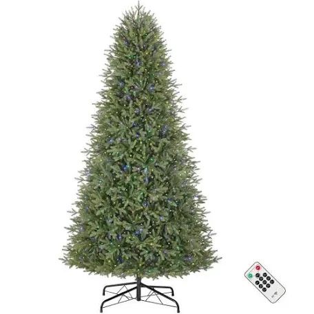 Home Accents Holiday 9 ft. Pre-Lit LED Jackson Noble Fir Artificial Christmas Tree