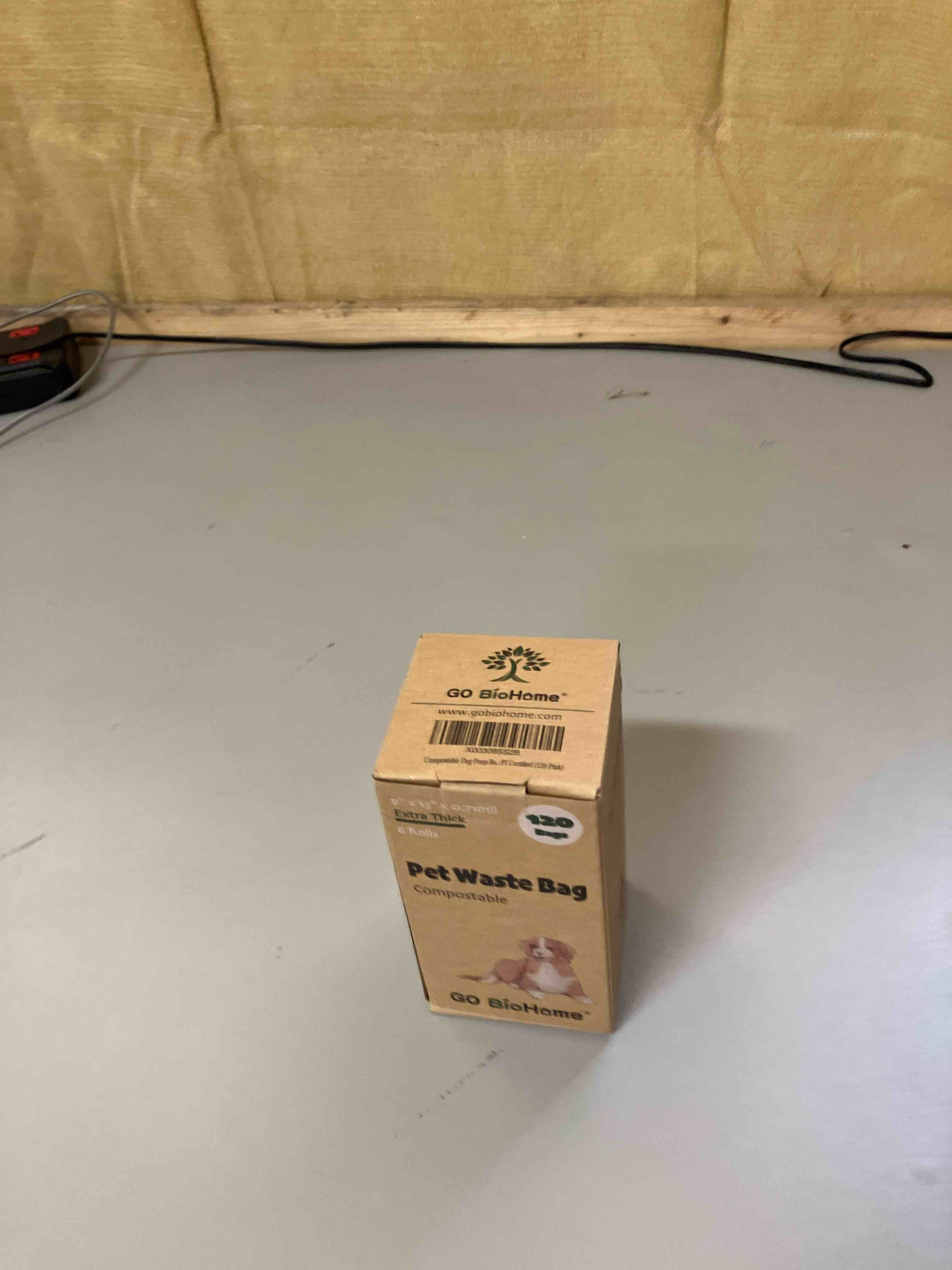 https://s3.amazonaws.com/lotting-images-prod/phillipi/PNK0121585_1731691717312.jpeg