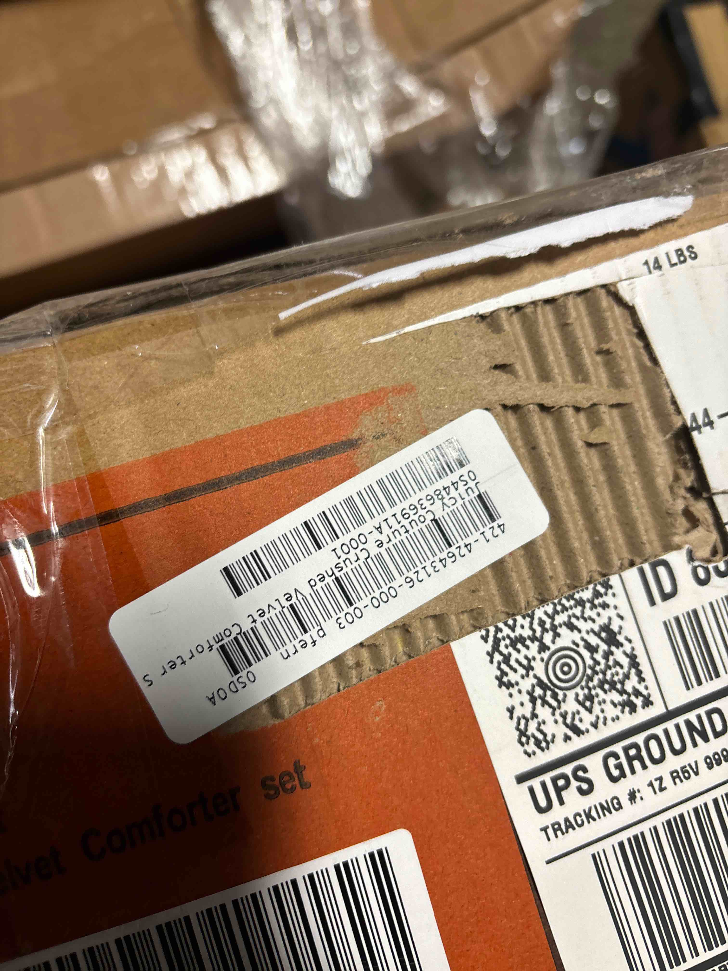 https://s3.amazonaws.com/lotting-images-prod/phillipi/PNK0399463_1740156959154.jpeg