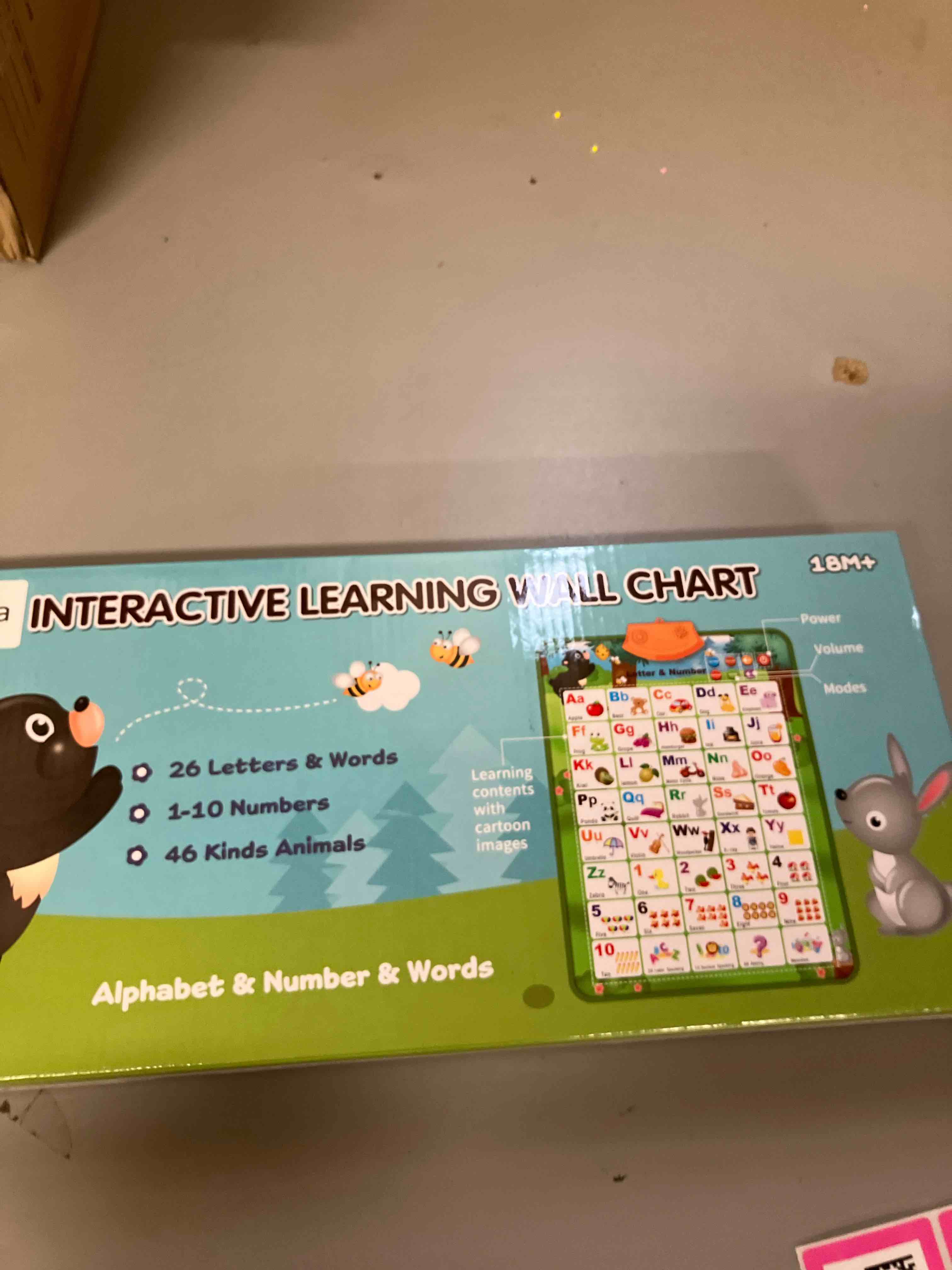 https://s3.amazonaws.com/lotting-images-prod/phillipi/PNK0405078_1734623180765.jpeg