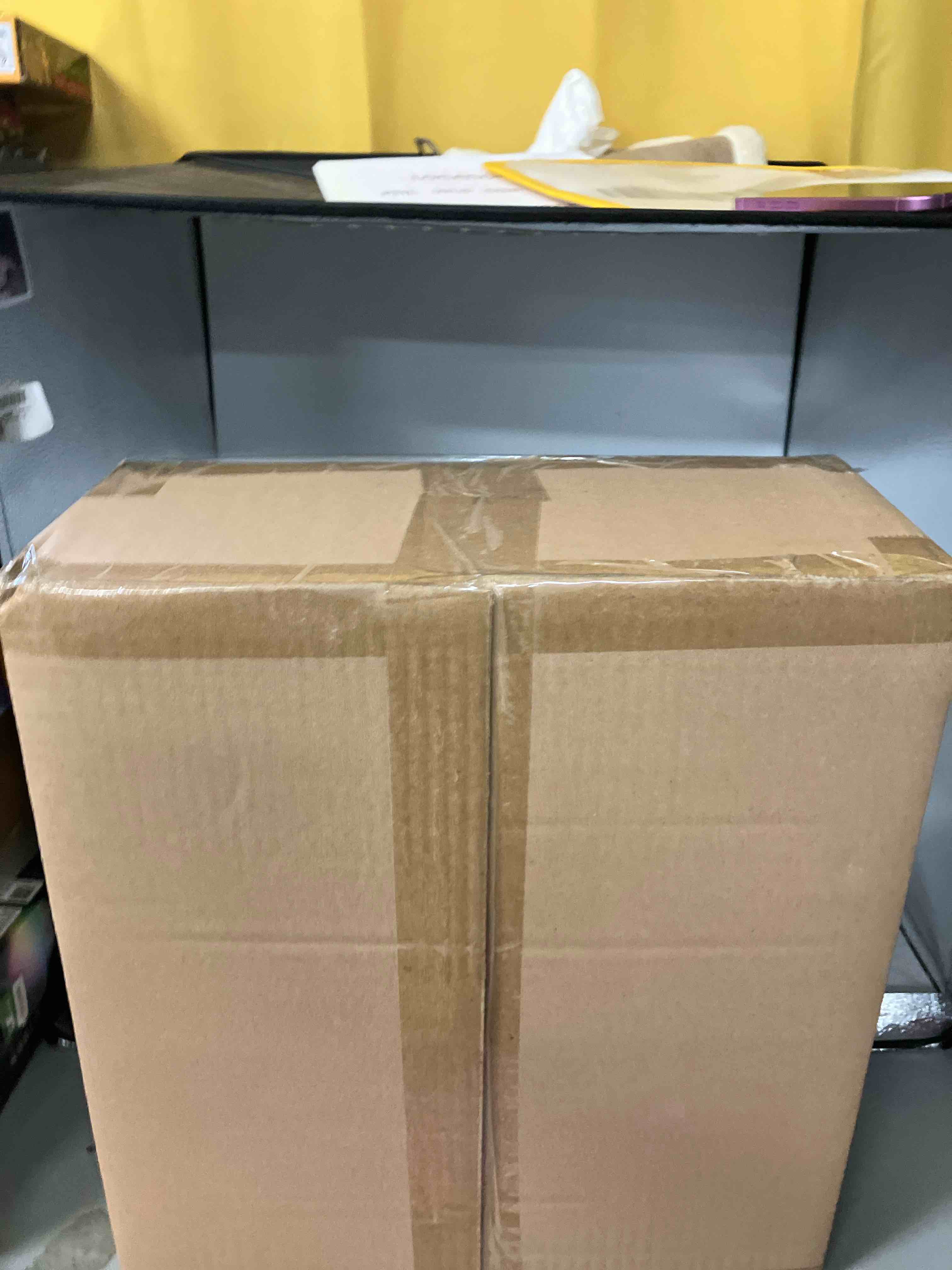 https://s3.amazonaws.com/lotting-images-prod/phillipi/PNK0405138_1734620490858.jpeg