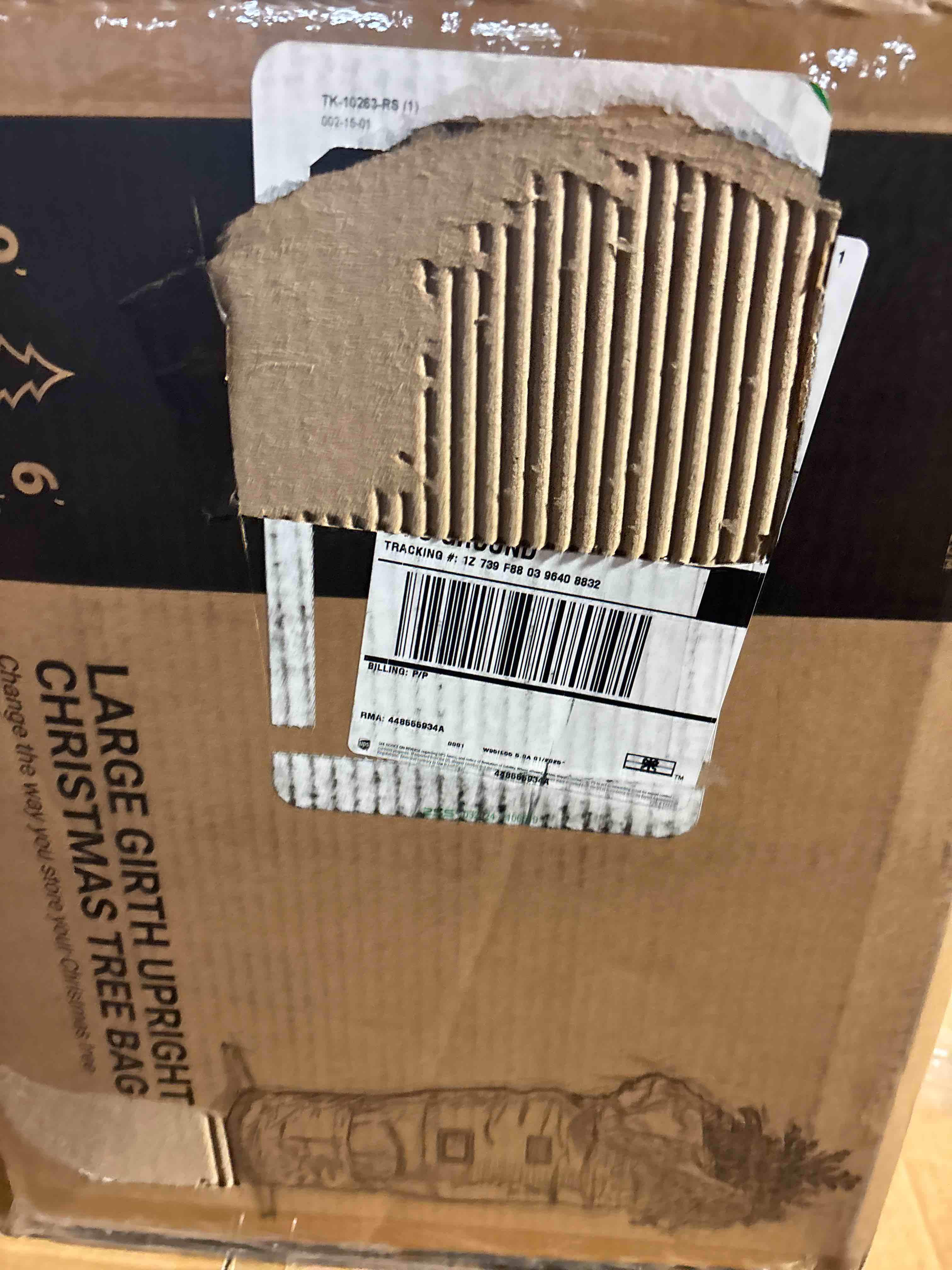 https://s3.amazonaws.com/lotting-images-prod/phillipi/PNK0407887_1741203599610.jpeg