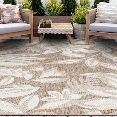 Tayse Eco 4 X 6 (ft) Brown Indoor/Outdoor Area Rug